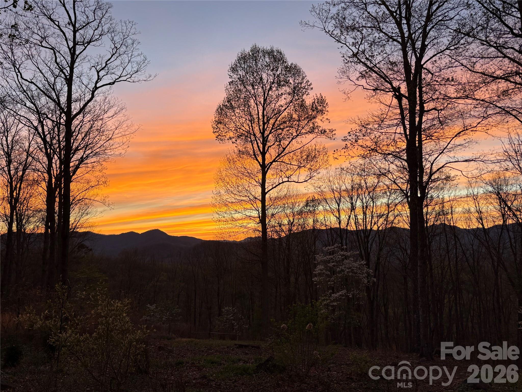 241 Alta Vista Drive — Candler