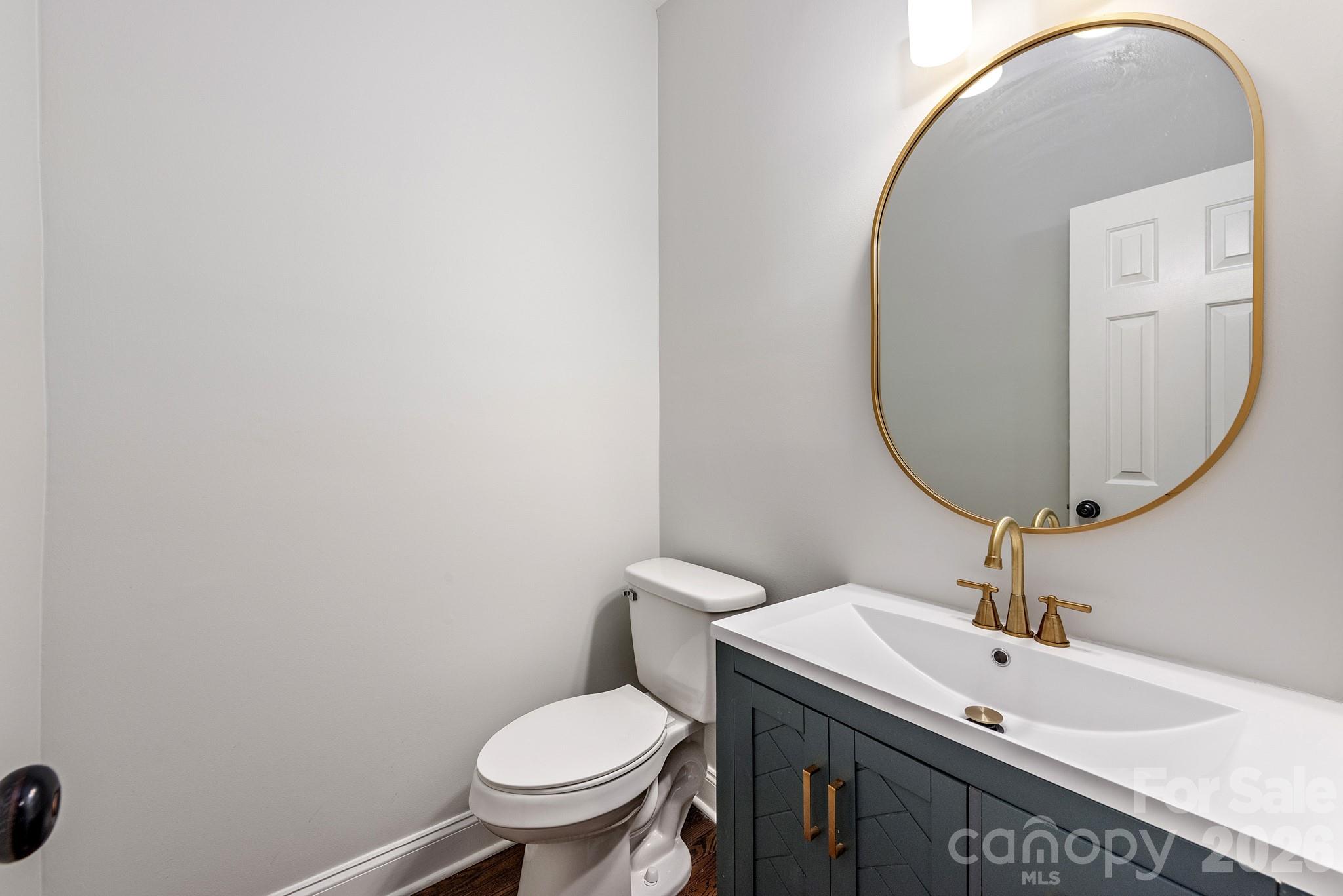 437 Clarkson Green Street — Charlotte