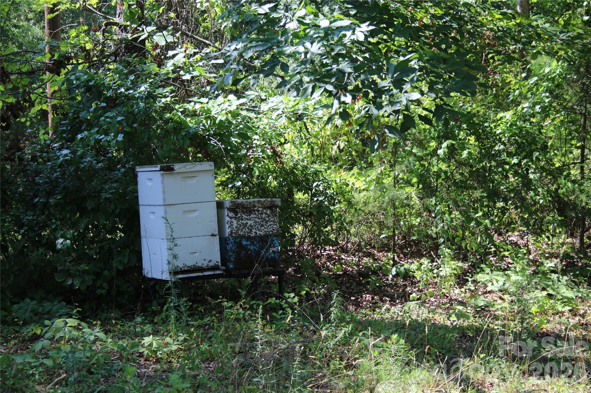 571 Piedmont Road — Rutherfordton