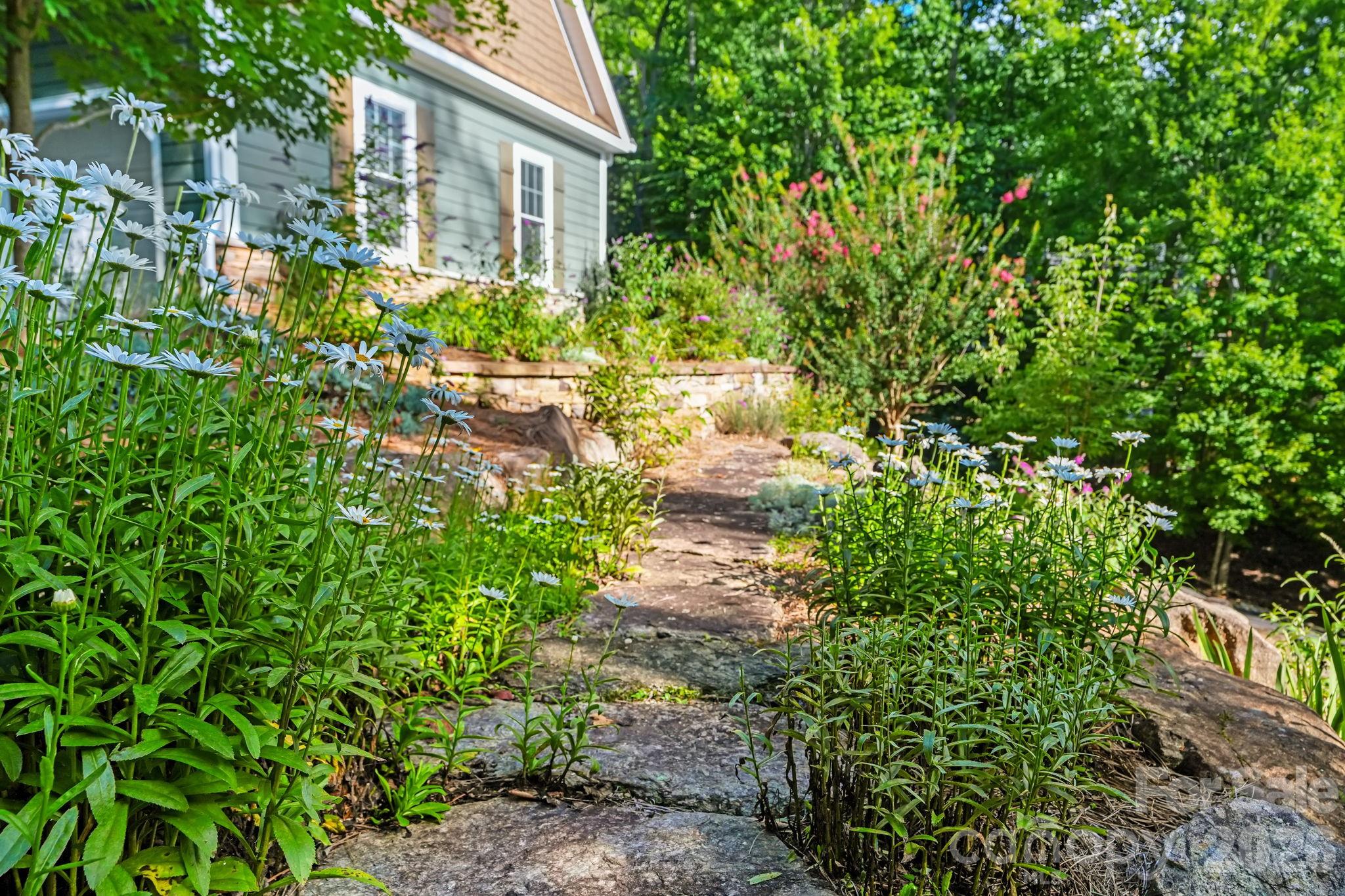 455 Blue Mist Way — Arden