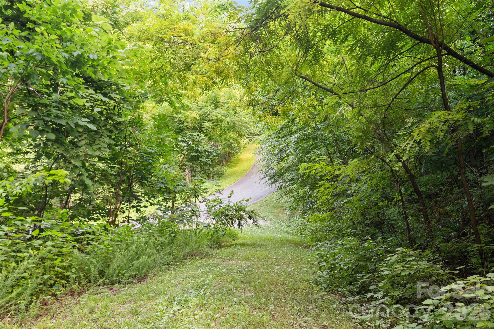 1915 Creston Drive — Black Mountain