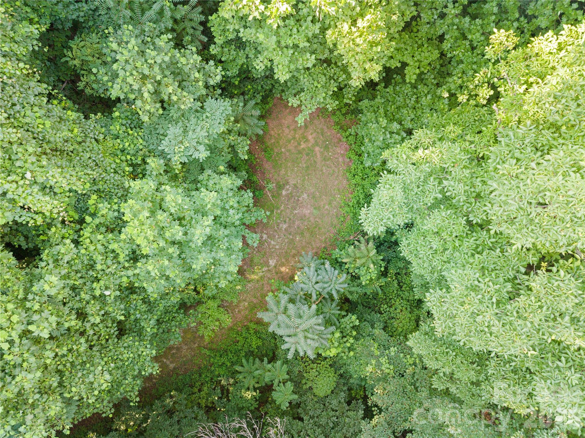 1915 Creston Drive — Black Mountain