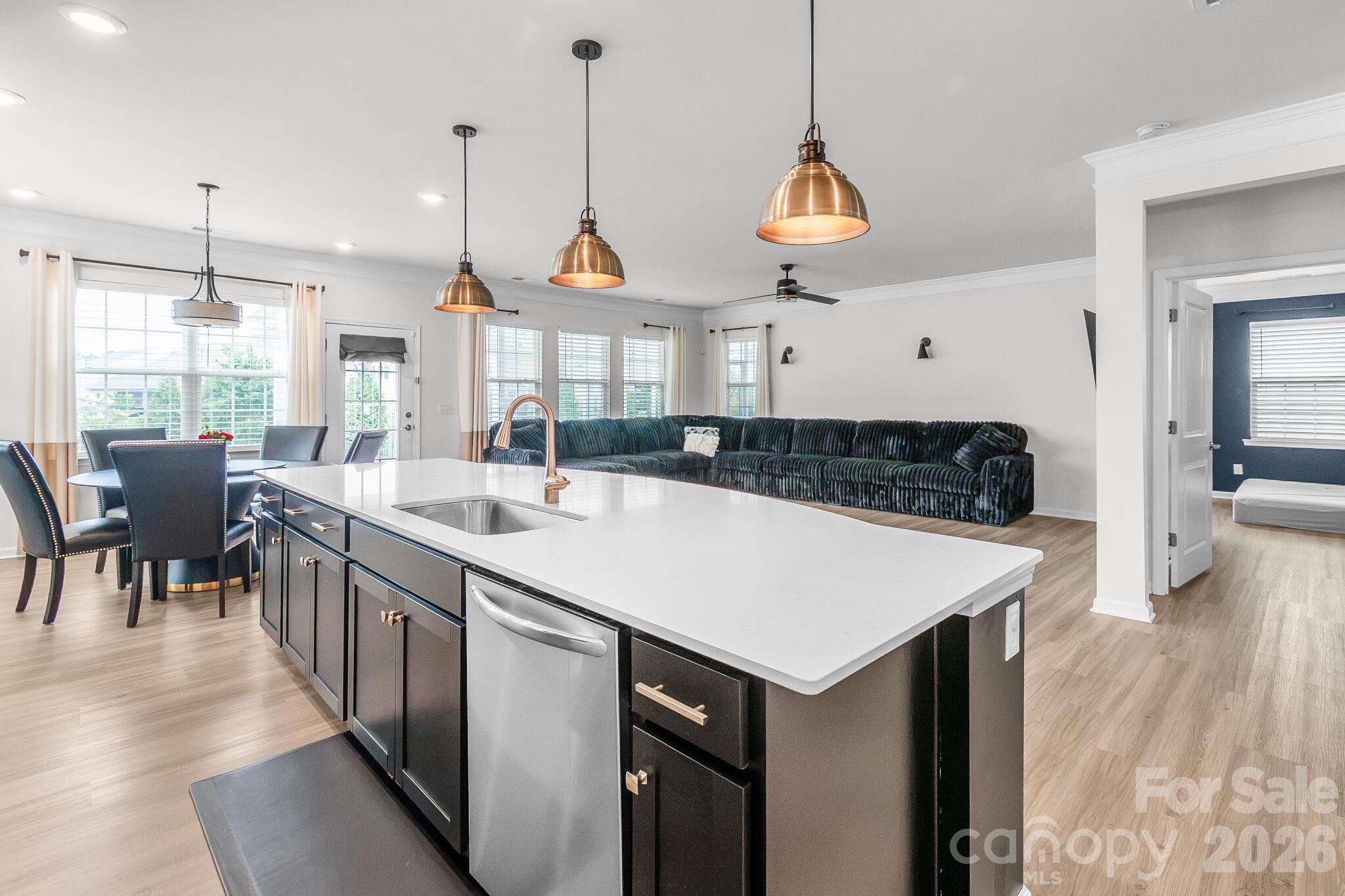 13007 Canterbury Castle Drive — Charlotte