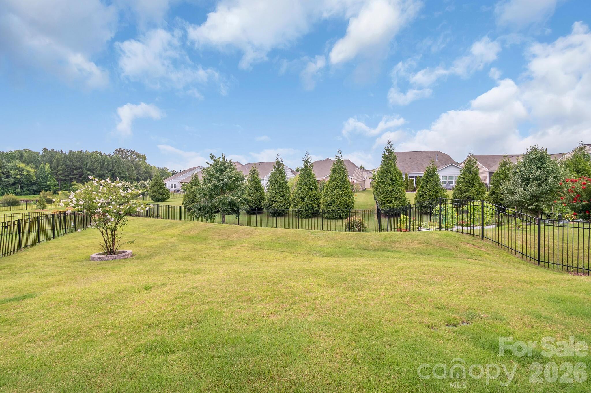 13007 Canterbury Castle Drive — Charlotte