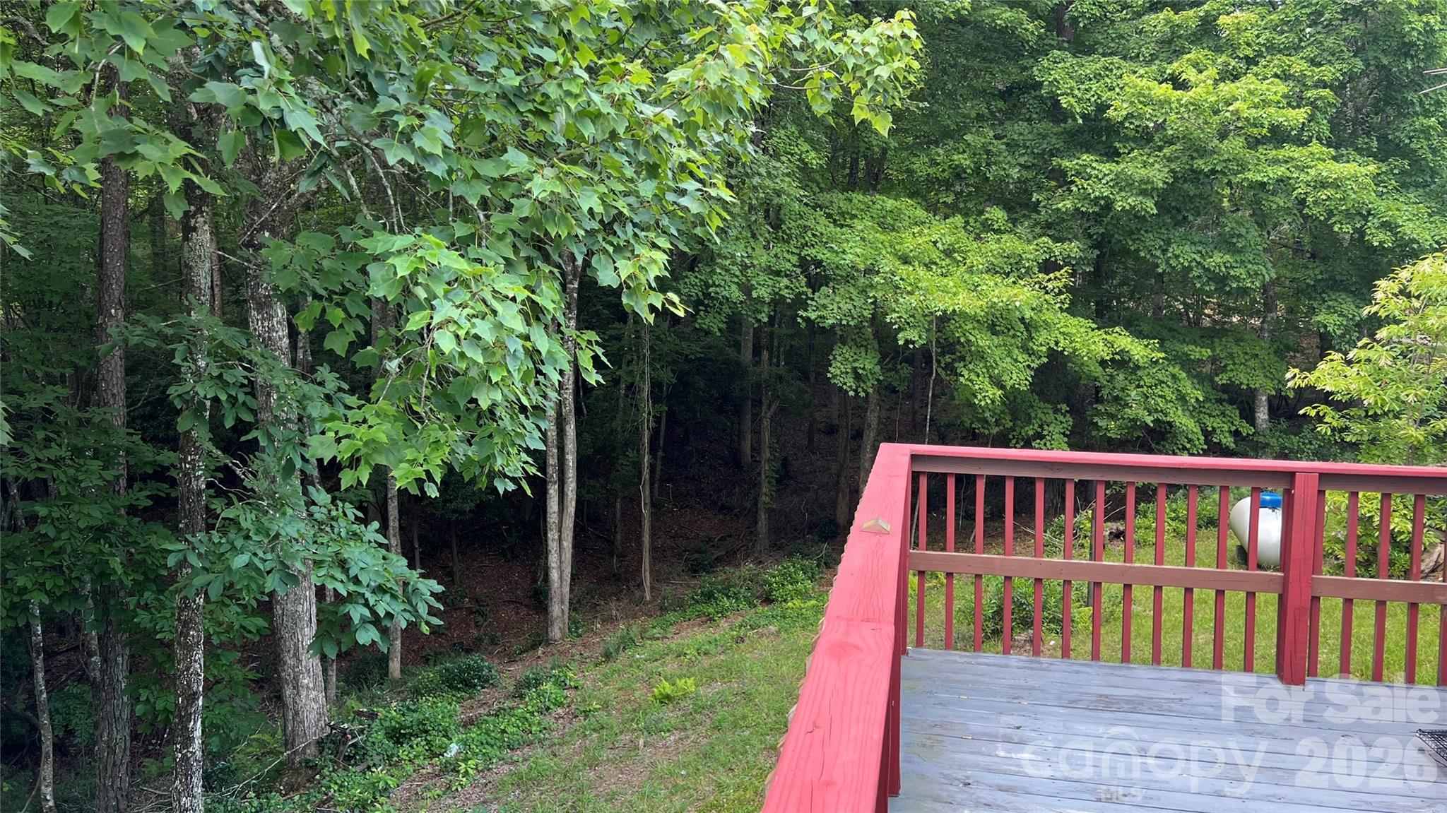 236 Forest Lane — Murphy