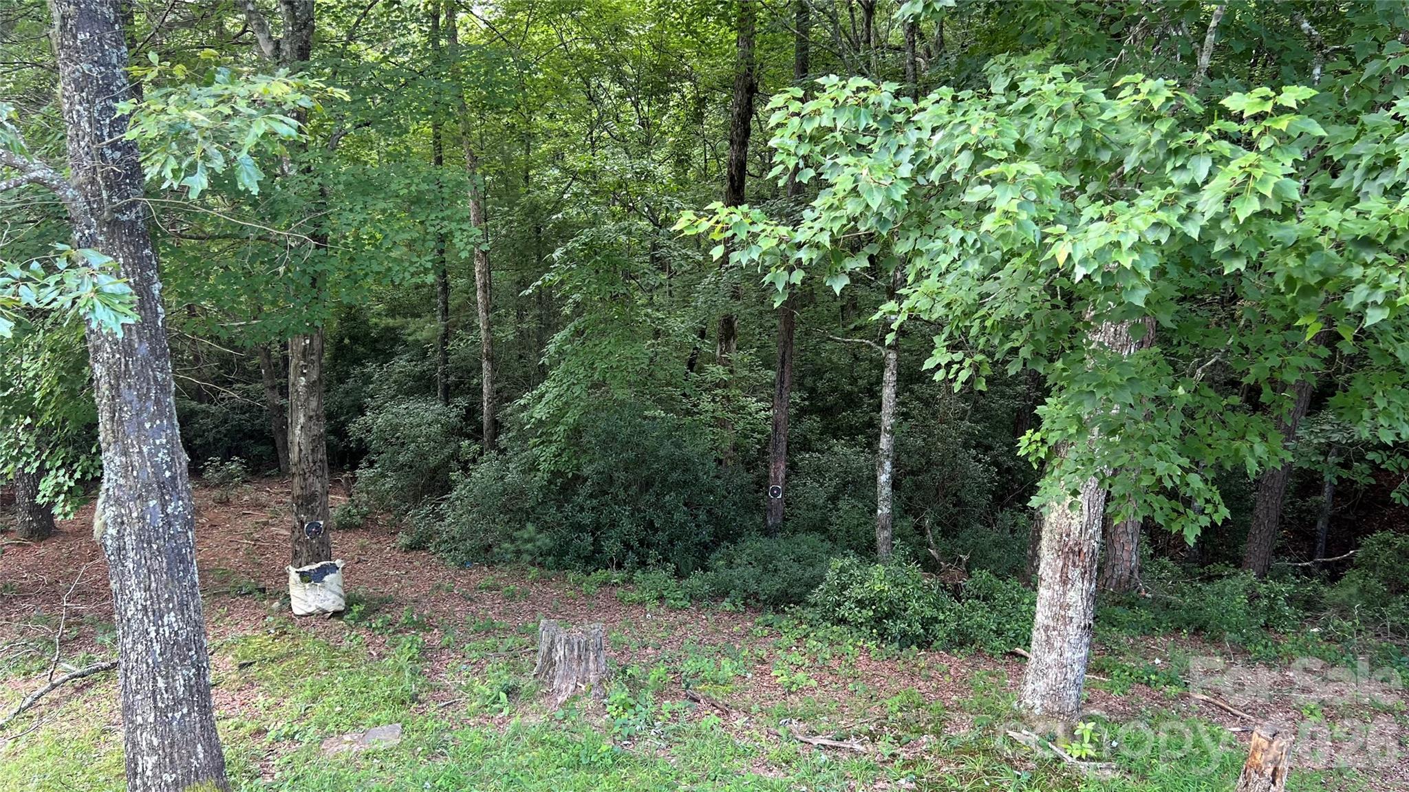 236 Forest Lane — Murphy