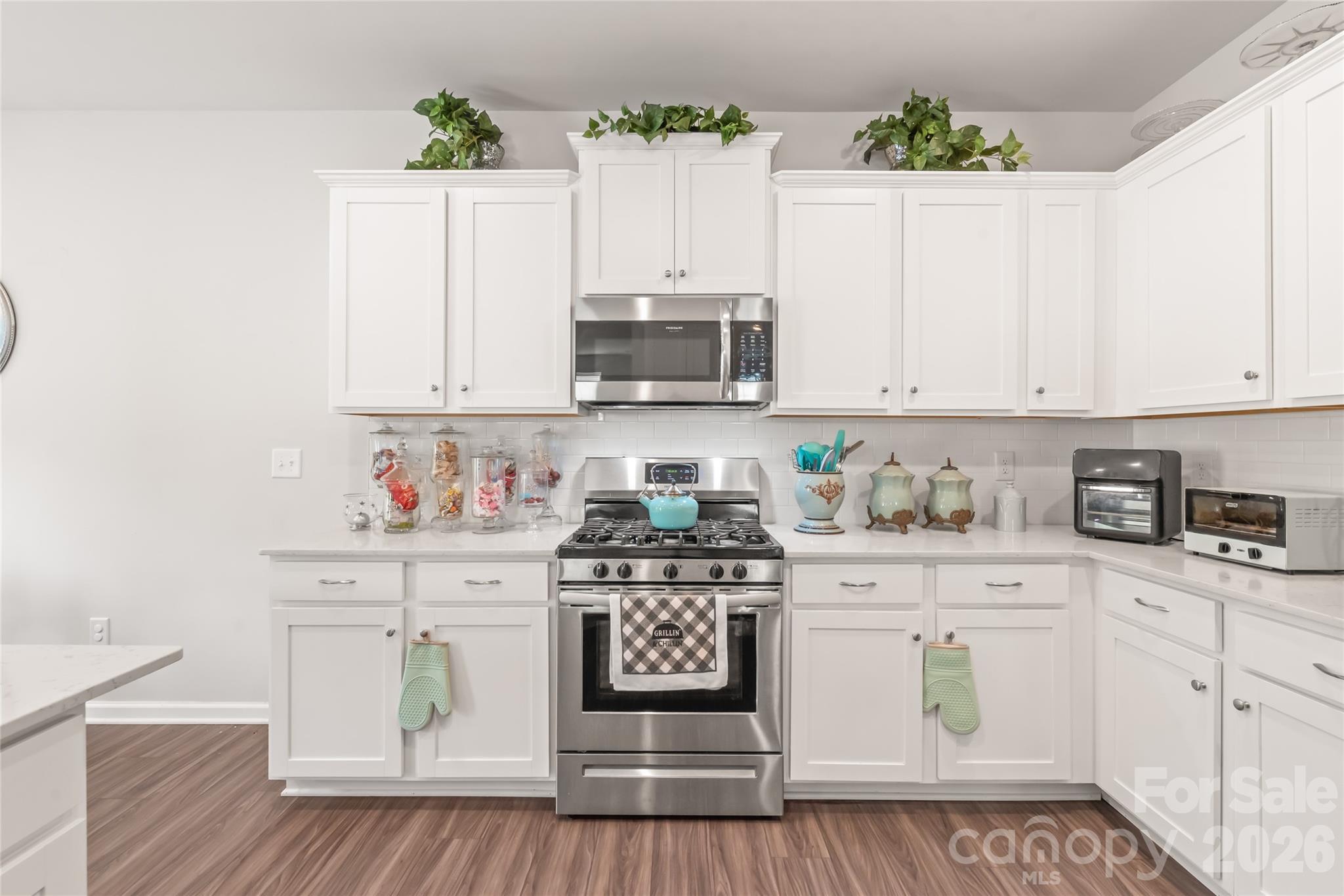 15308 Lake Ridge Road — Charlotte