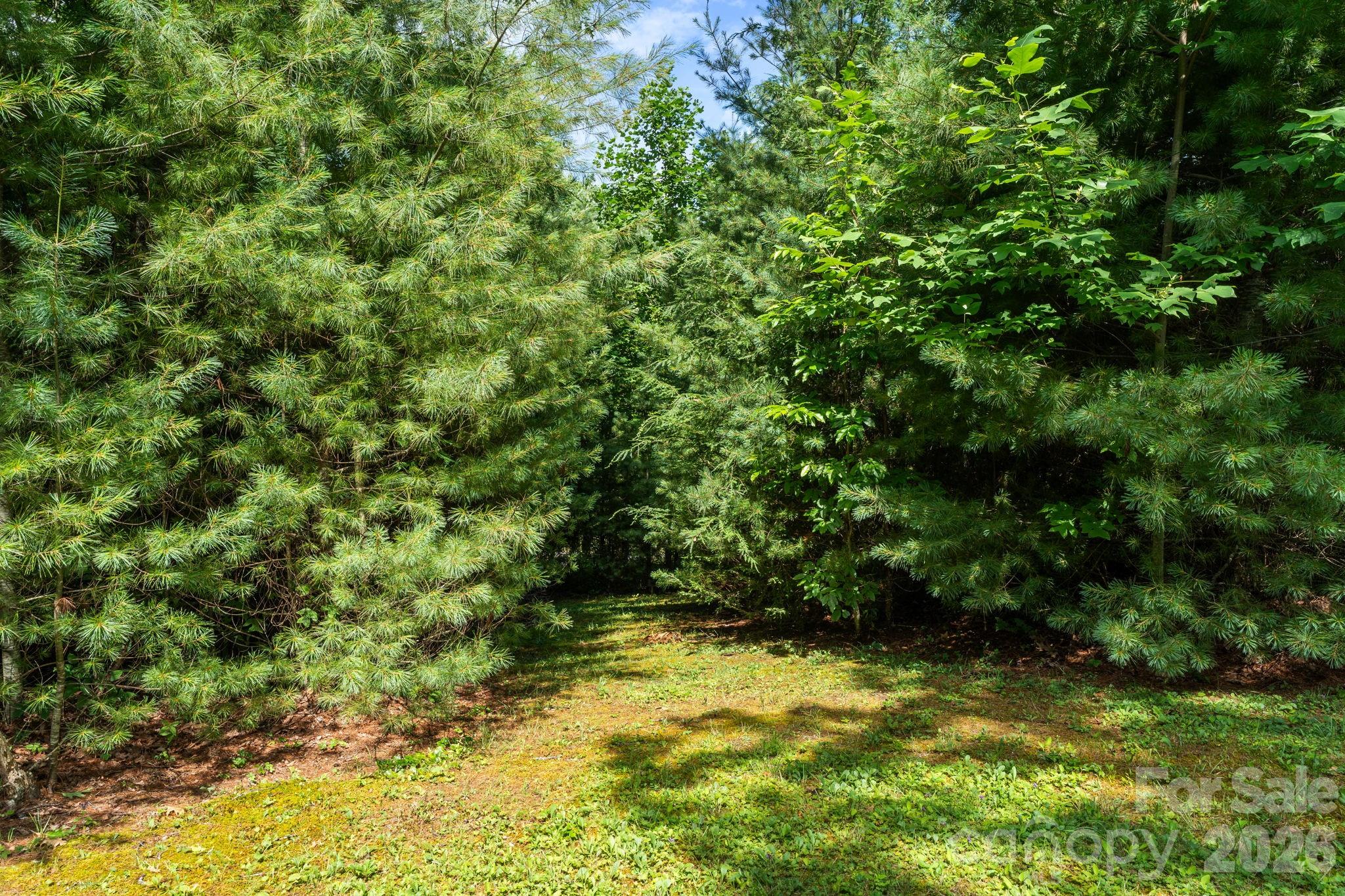 9081 Pittmans Gap Road — Newland