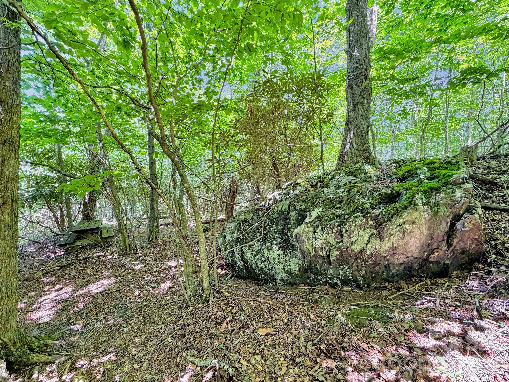 321 Grays Shadow Lane — Banner Elk