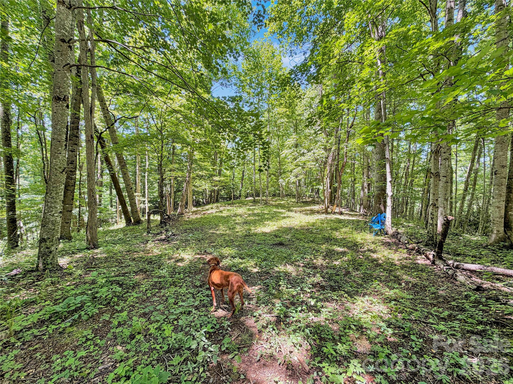 321 Grays Shadow Lane — Banner Elk