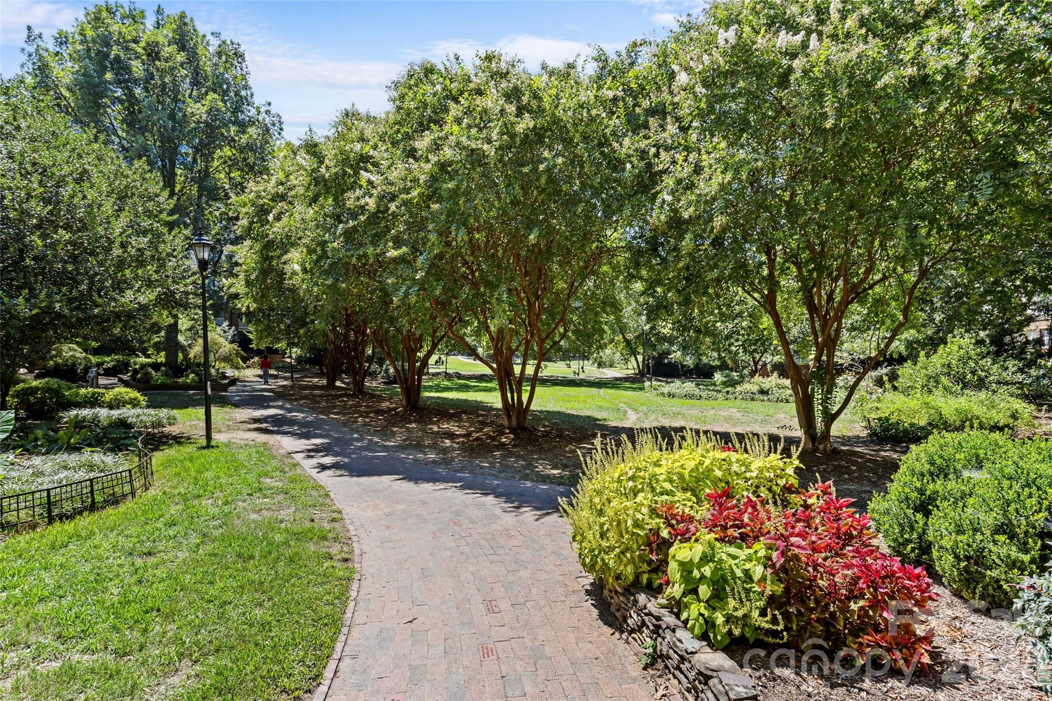 433 W 8th Street #68 — Charlotte