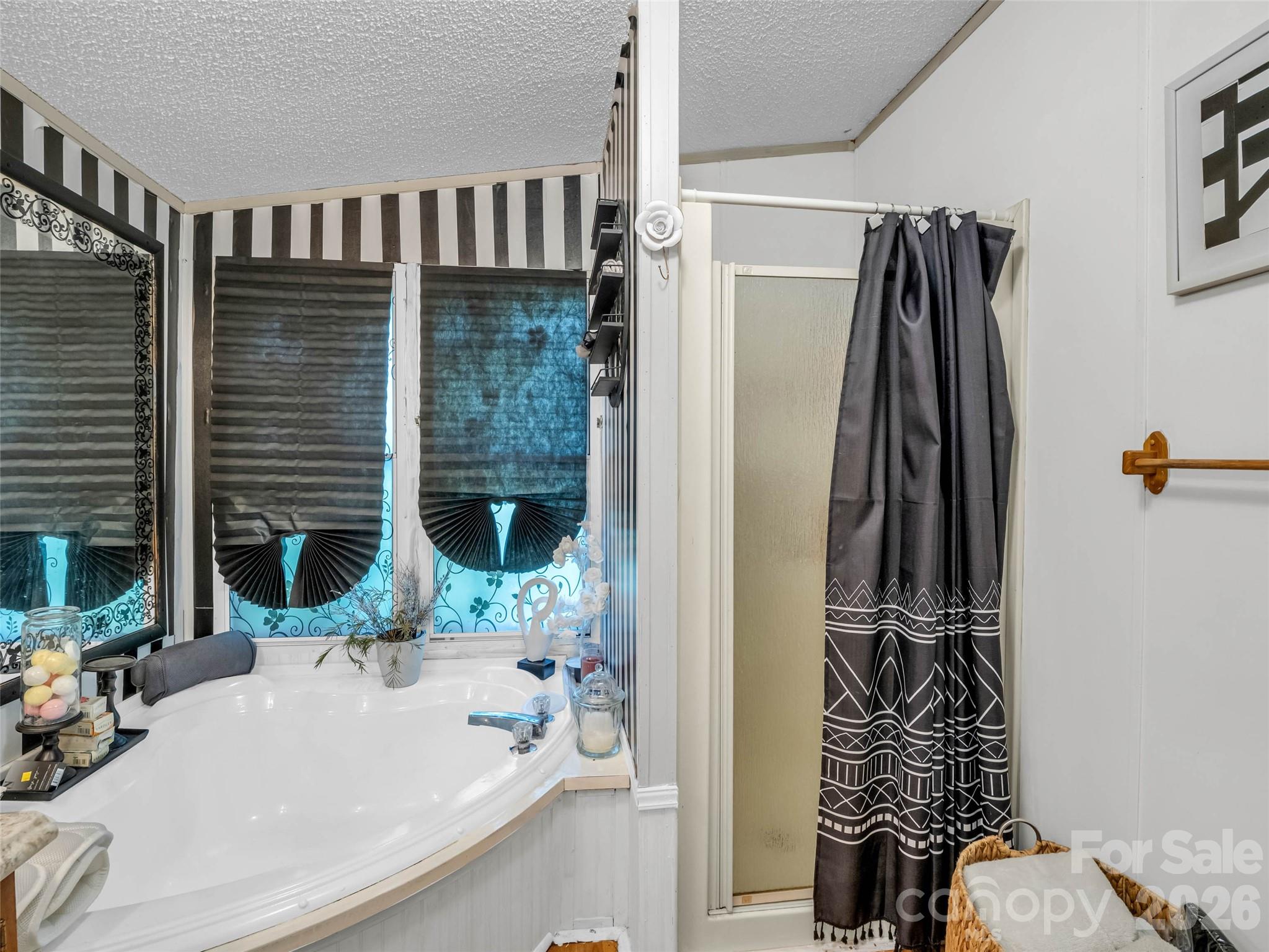 771 Bishop Lane — Mill Spring