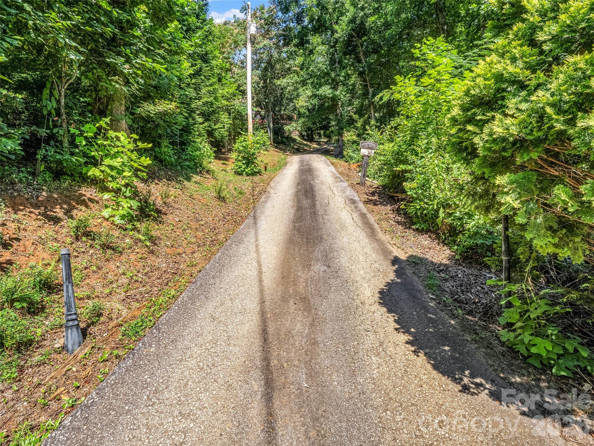 771 Bishop Lane — Mill Spring