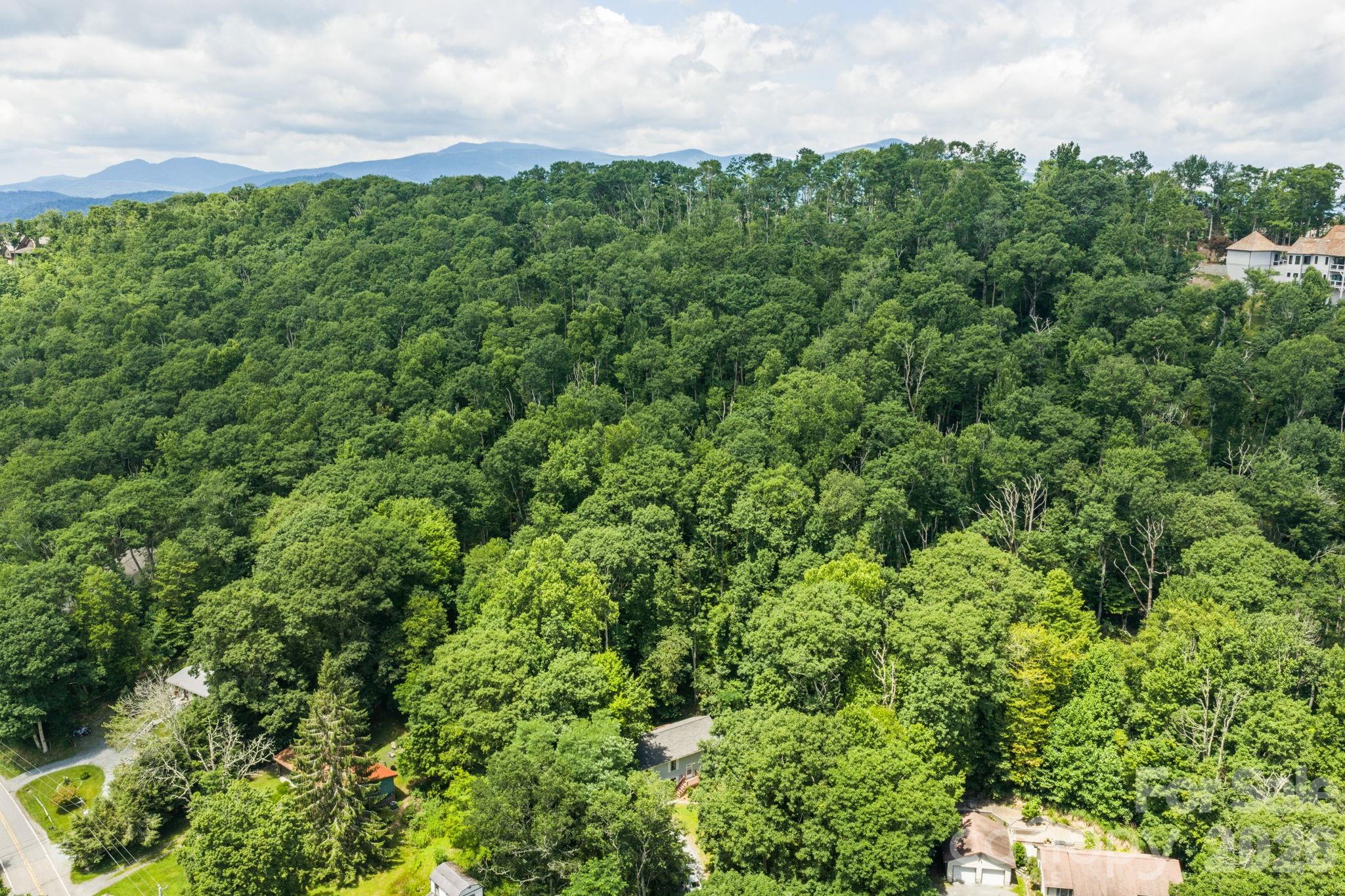 100 Summersweet Drive — Banner Elk