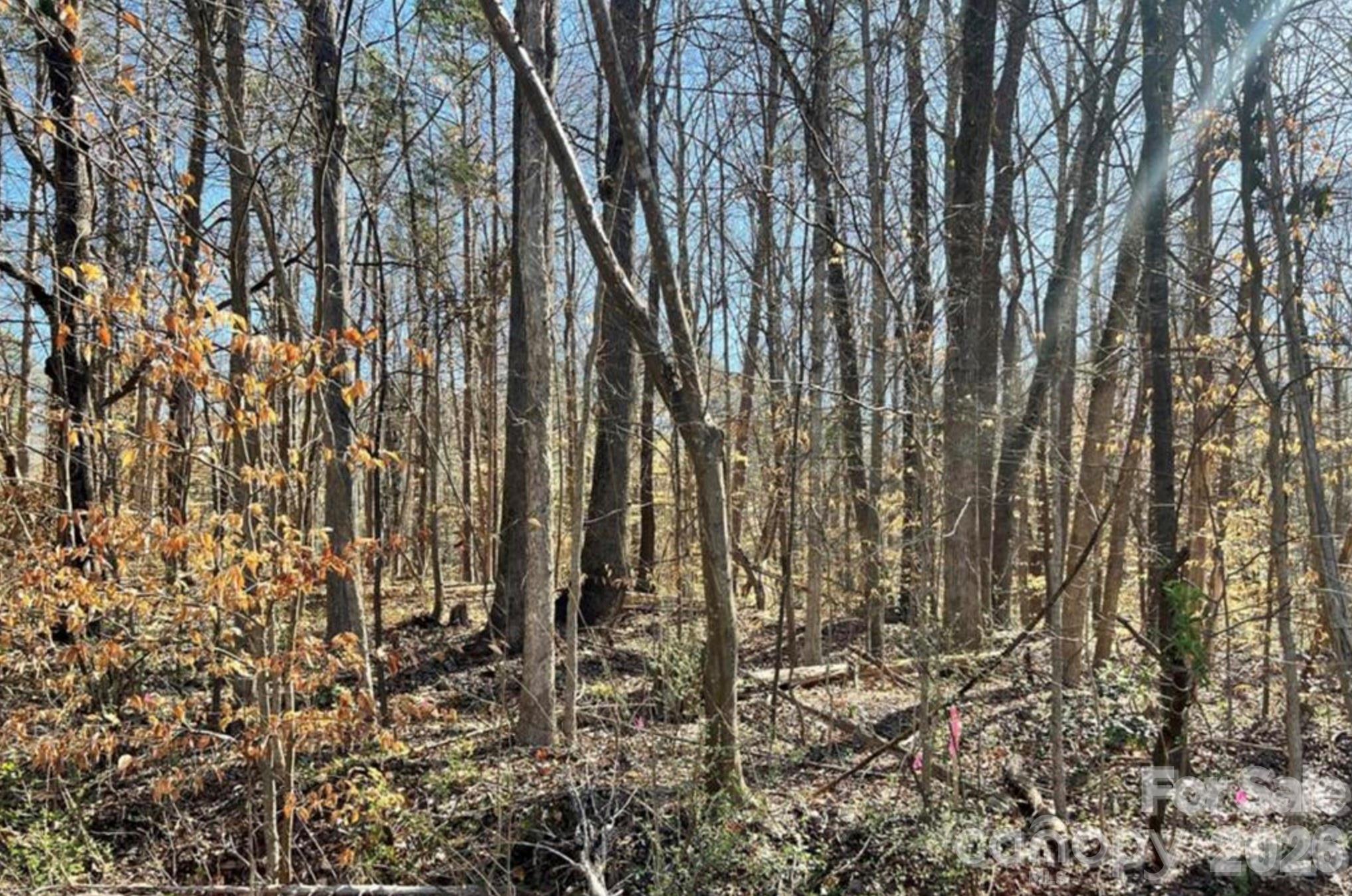 03 Lurecliff Place — Fort Mill