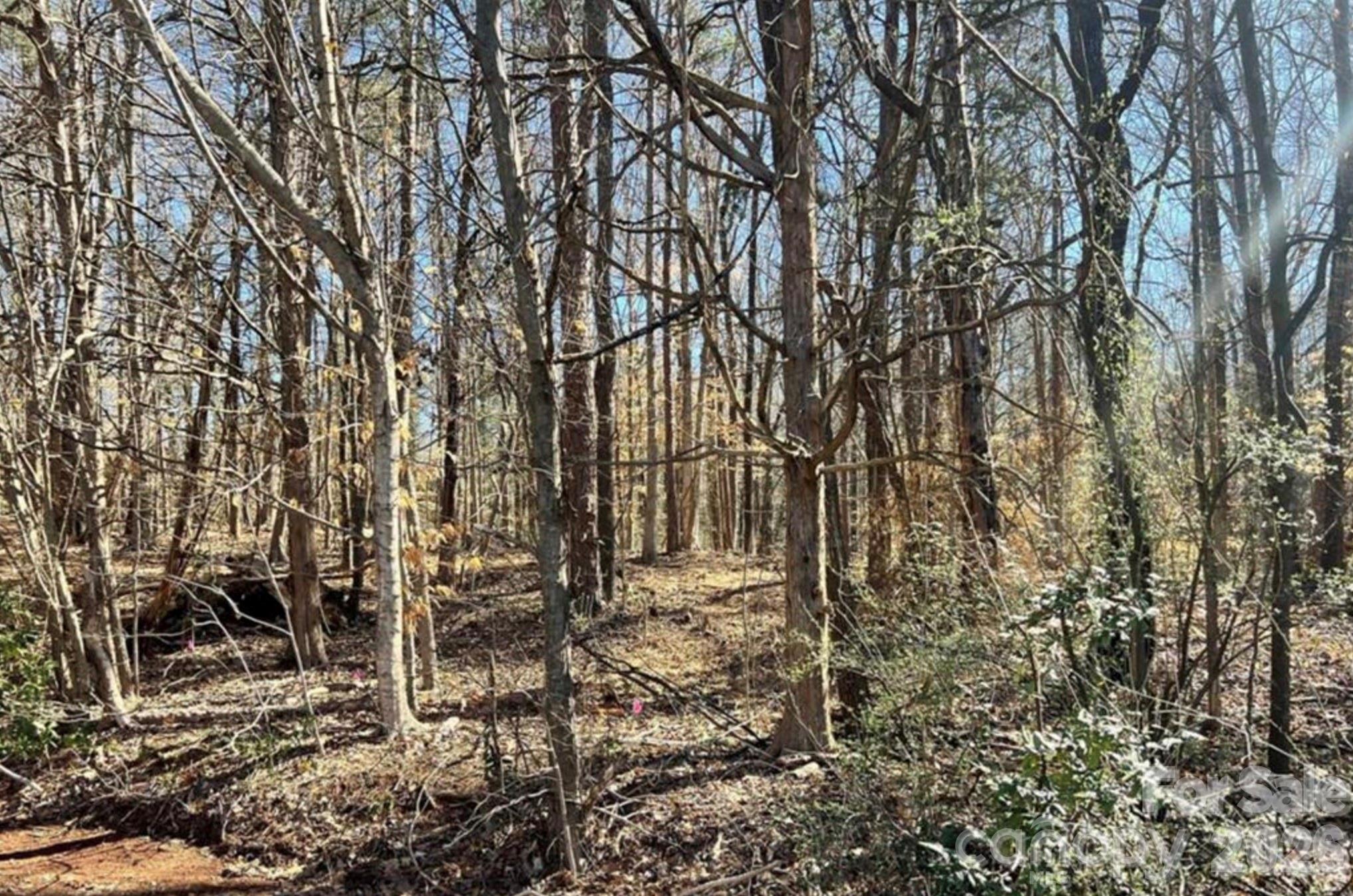 03 Lurecliff Place — Fort Mill