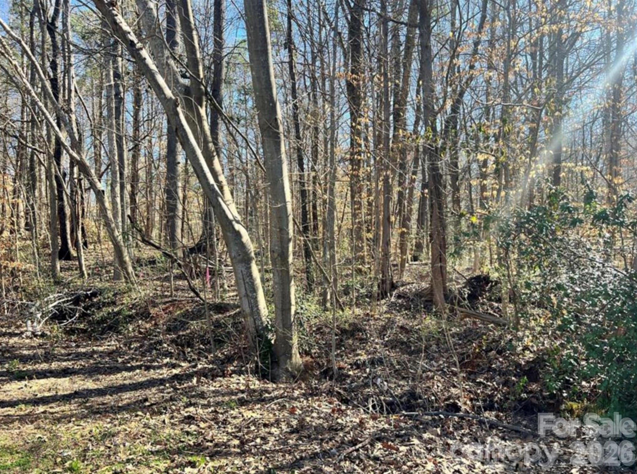 03 Lurecliff Place — Fort Mill