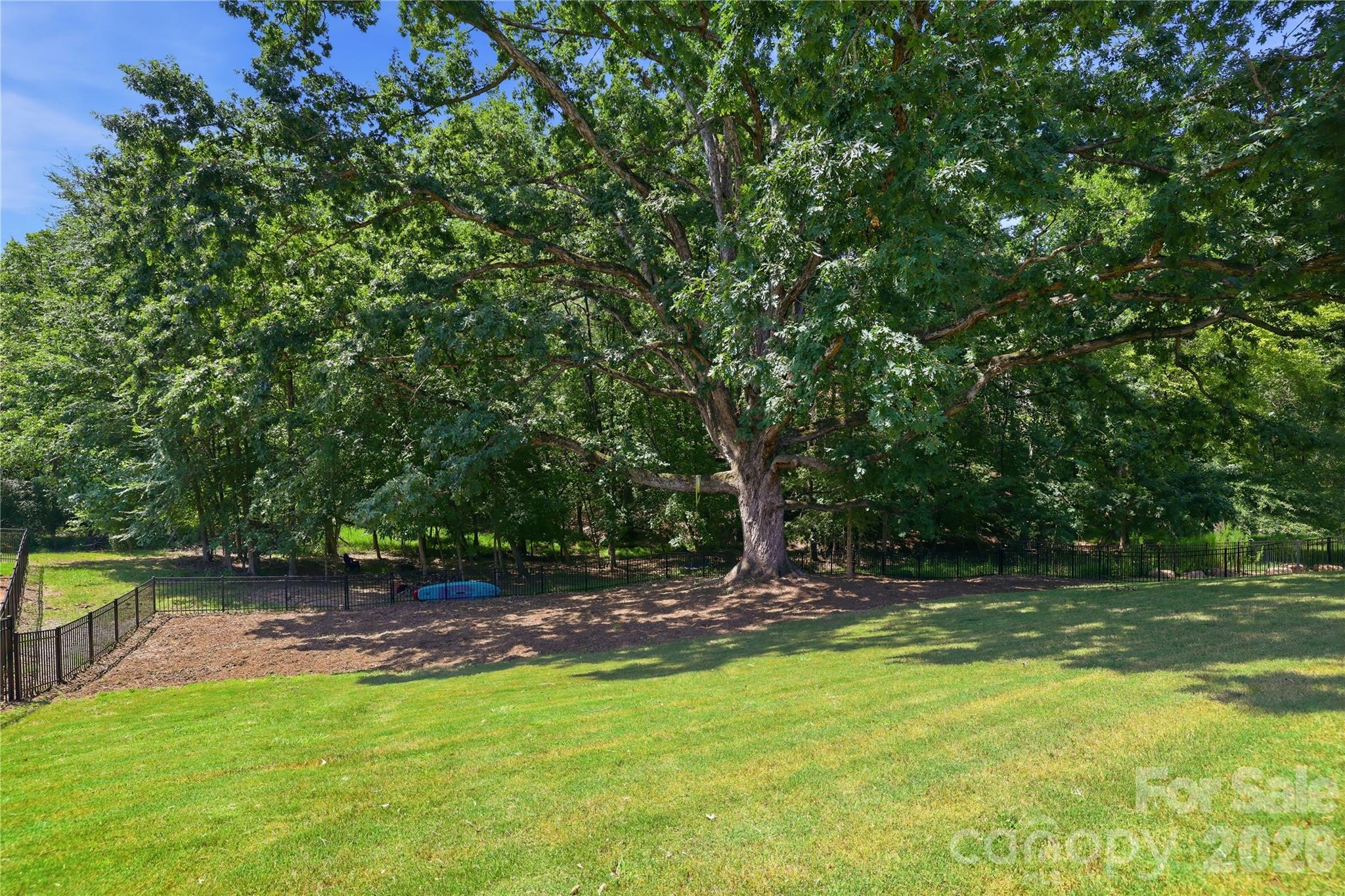 408 Fern Leaf Court — Belmont
