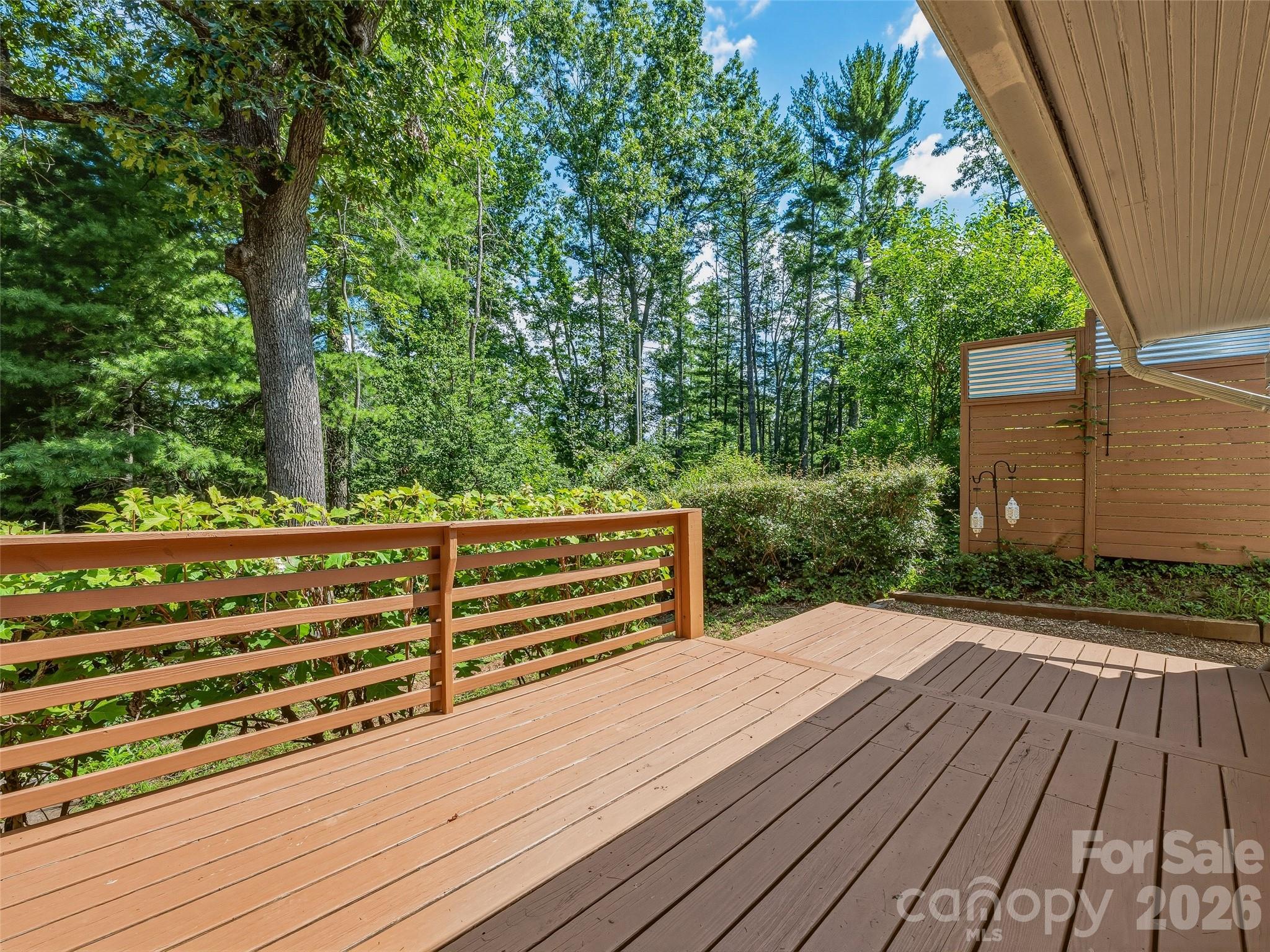 66 Hampden Road — Asheville