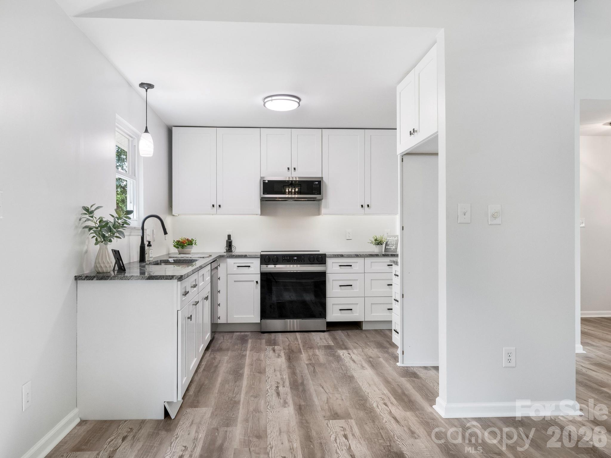 9501 Buckskin Lane — Charlotte