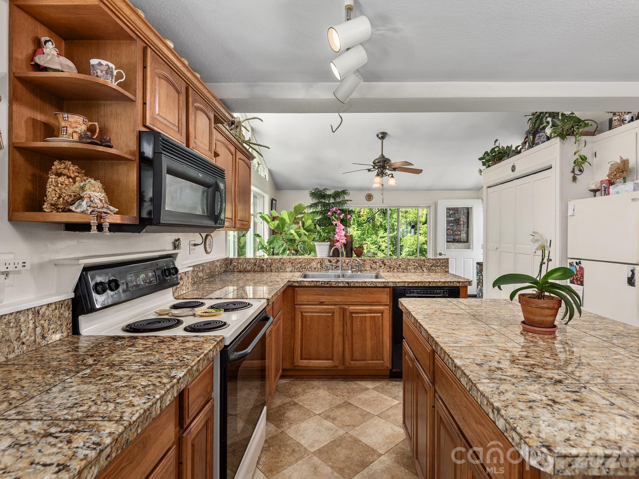46 Perennial Ridge — Weaverville