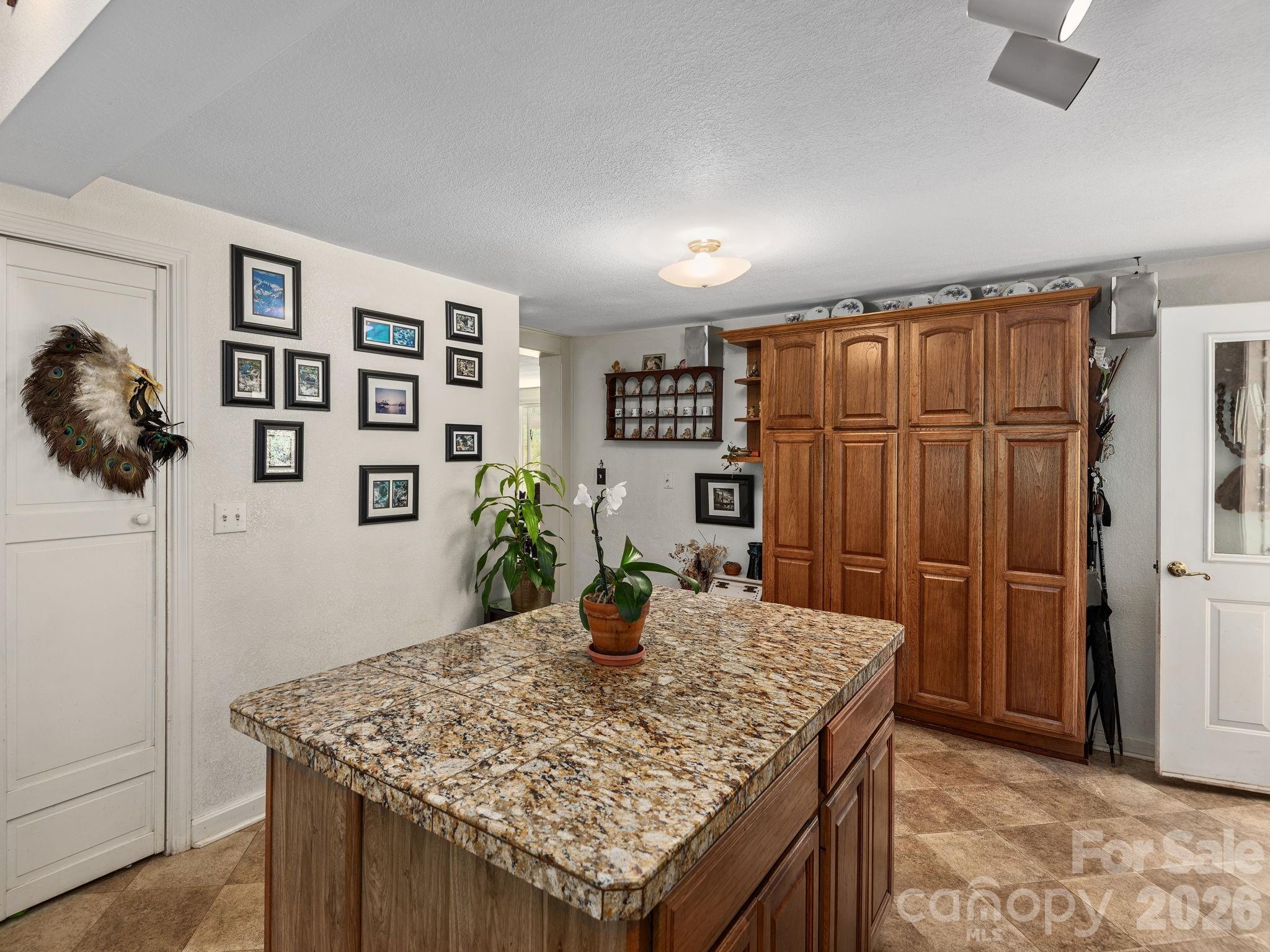 46 Perennial Ridge — Weaverville