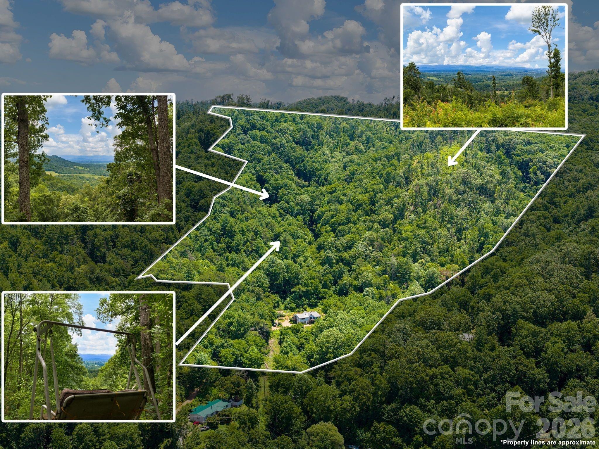 46 Perennial Ridge — Weaverville