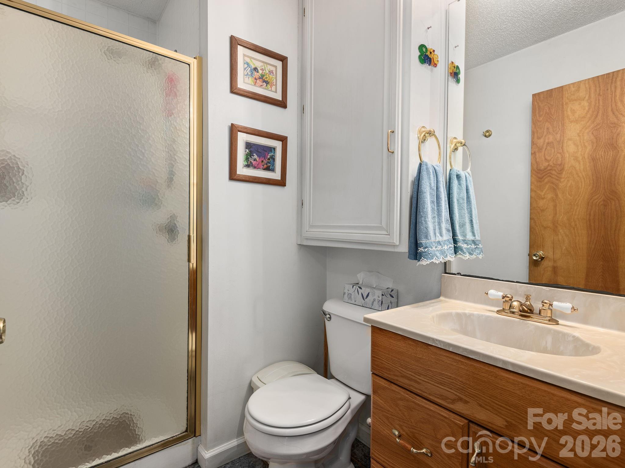 46 Perennial Ridge — Weaverville
