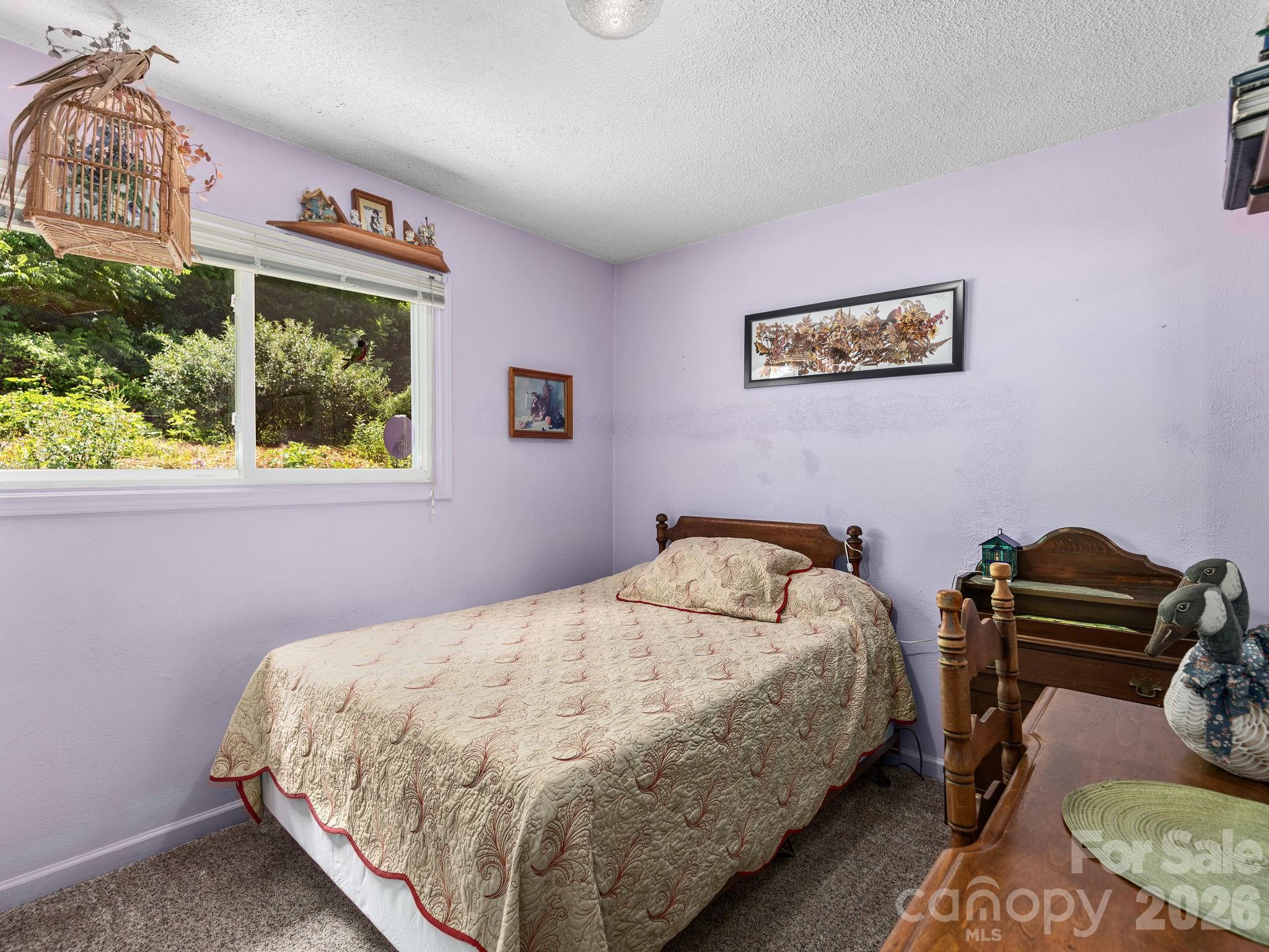 46 Perennial Ridge — Weaverville