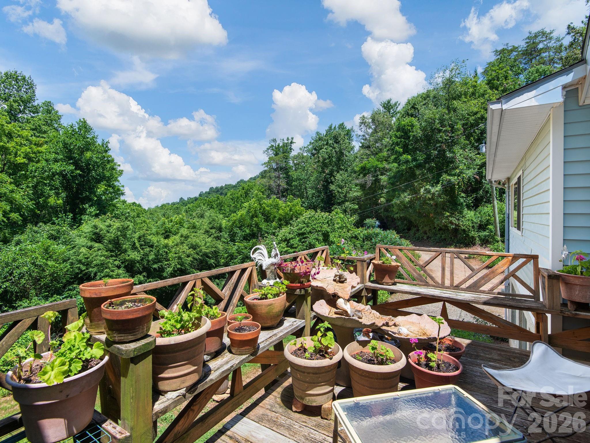 46 Perennial Ridge — Weaverville