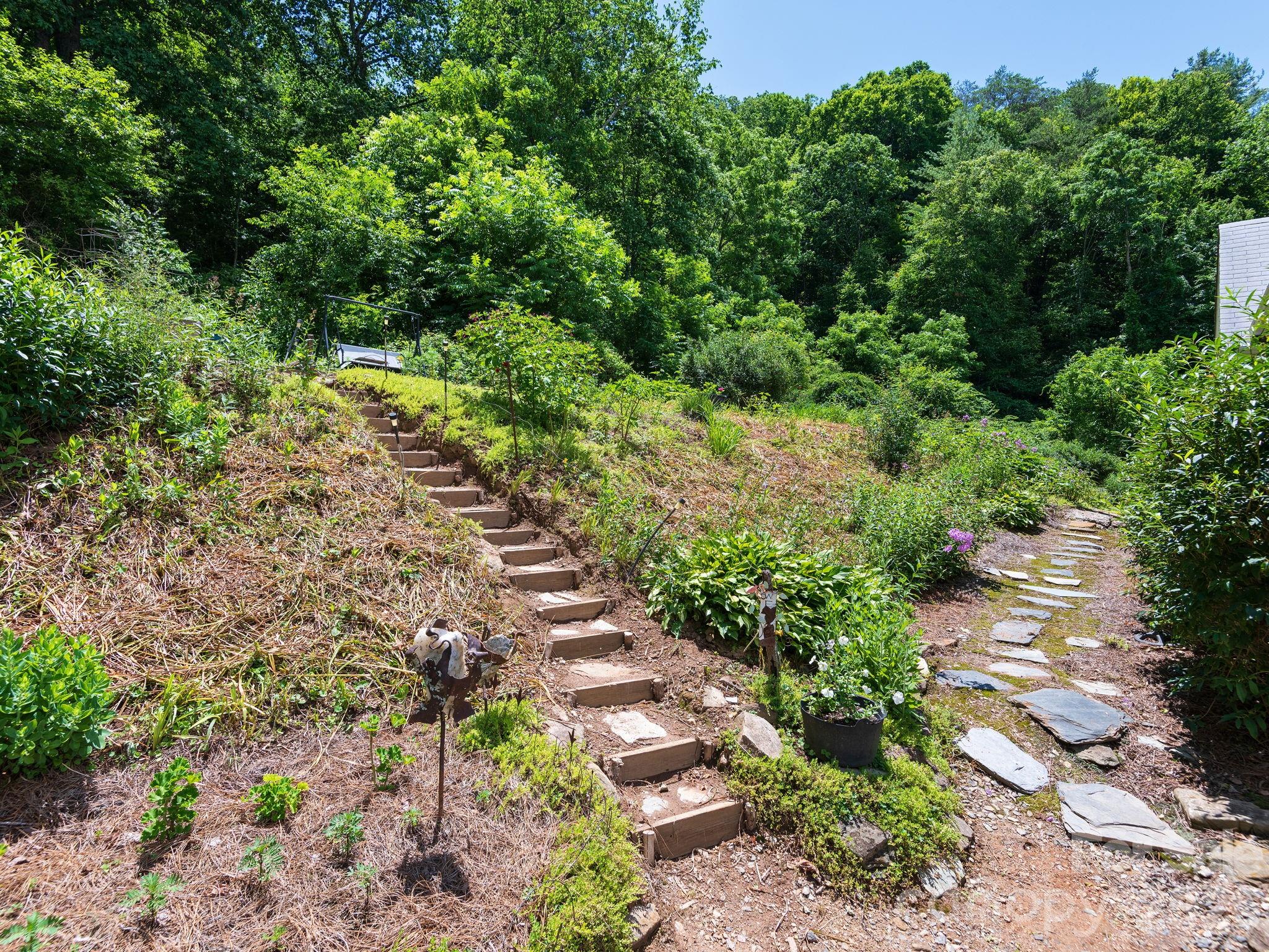 46 Perennial Ridge — Weaverville