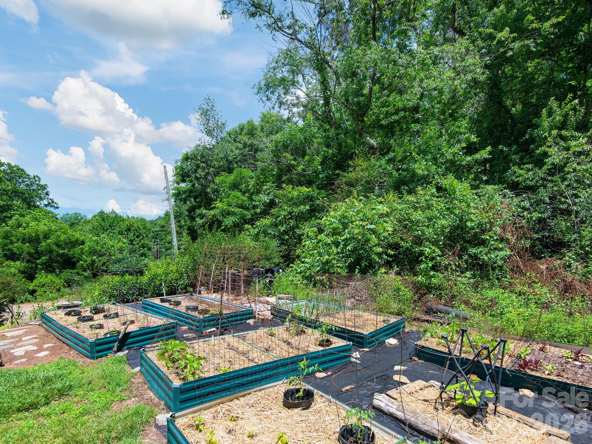 46 Perennial Ridge — Weaverville