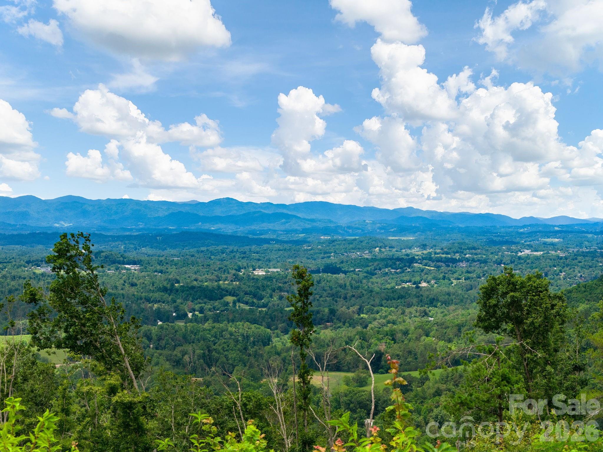 46 Perennial Ridge — Weaverville