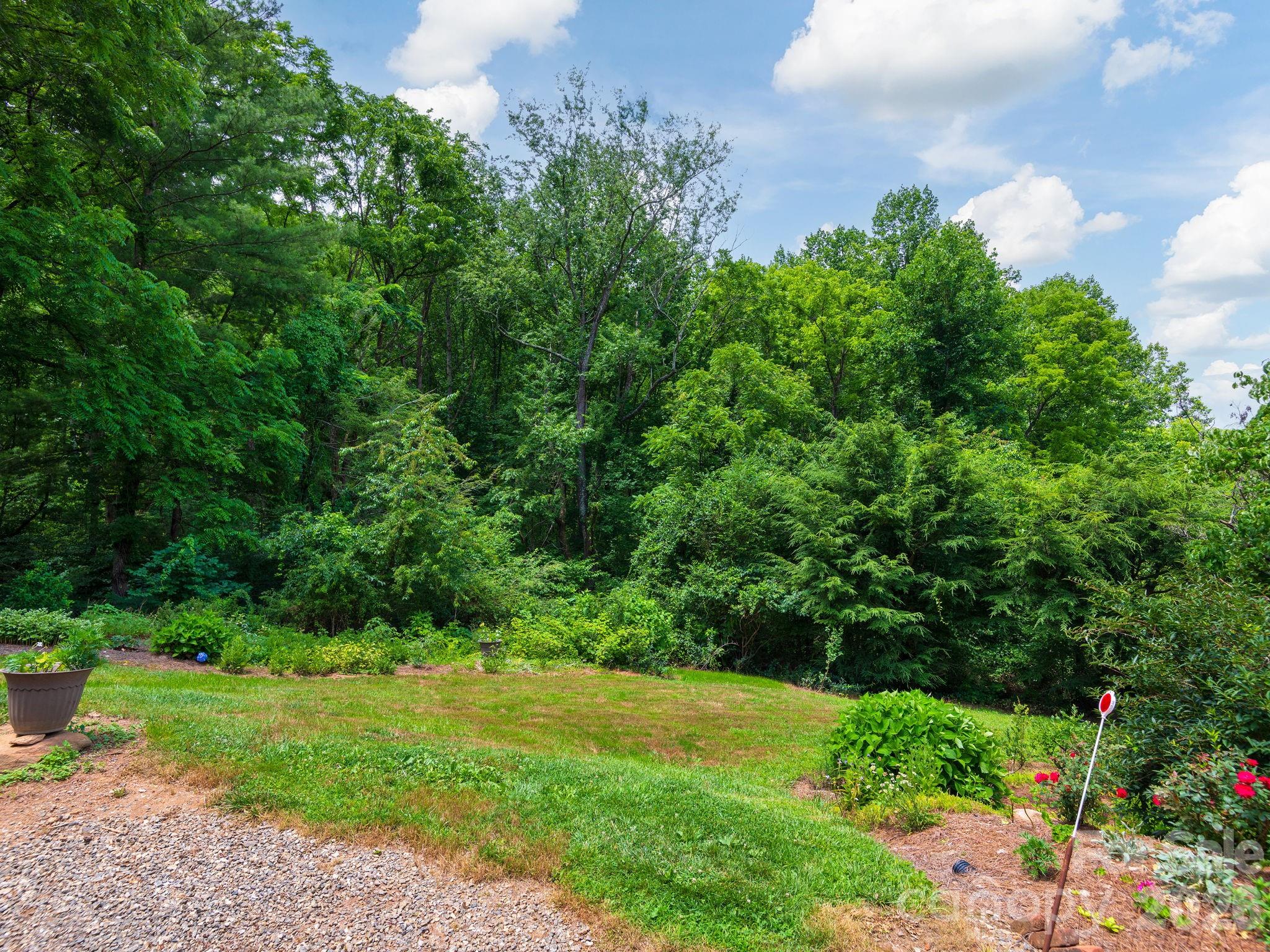 46 Perennial Ridge — Weaverville