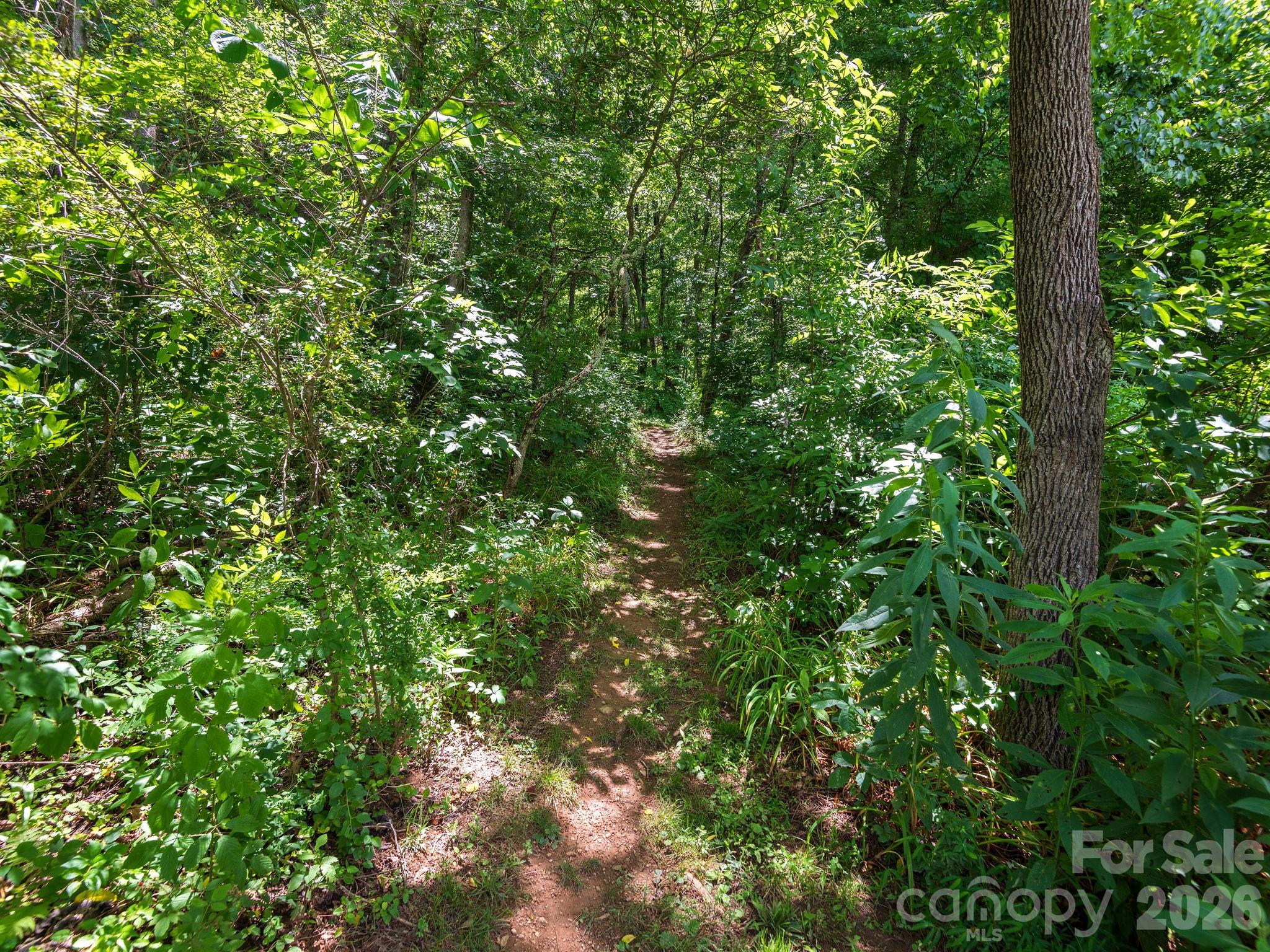 46 Perennial Ridge — Weaverville