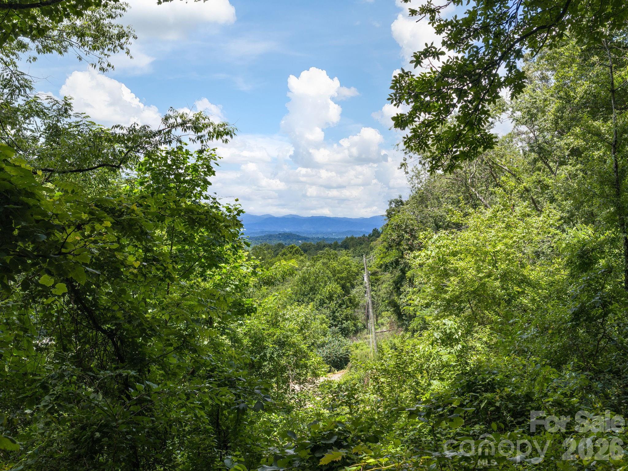 46 Perennial Ridge — Weaverville