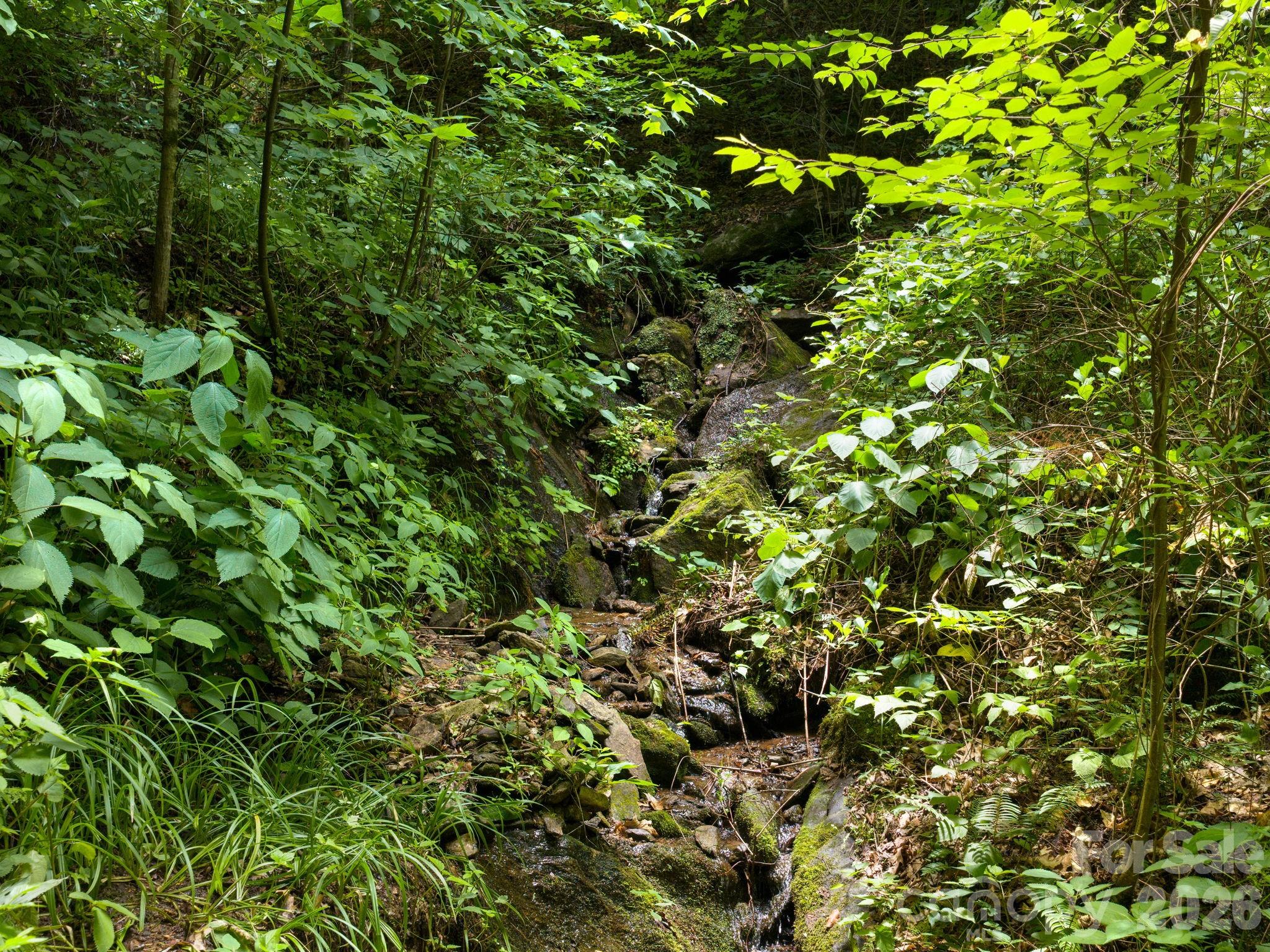 46 Perennial Ridge — Weaverville