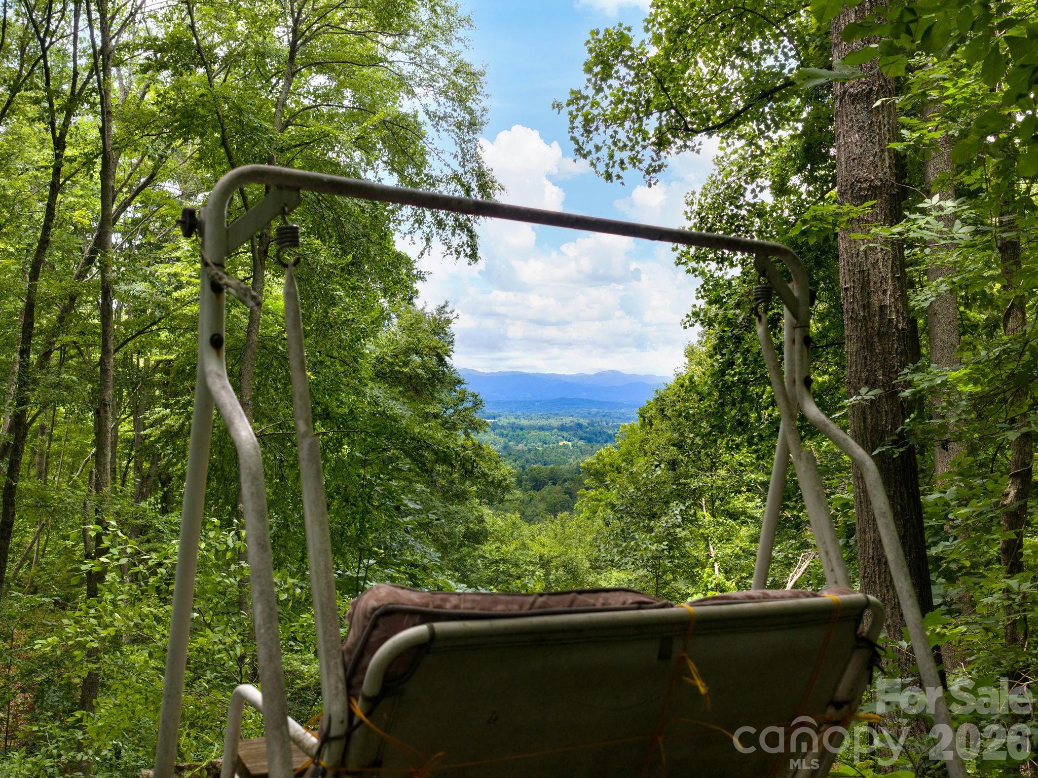 46 Perennial Ridge — Weaverville