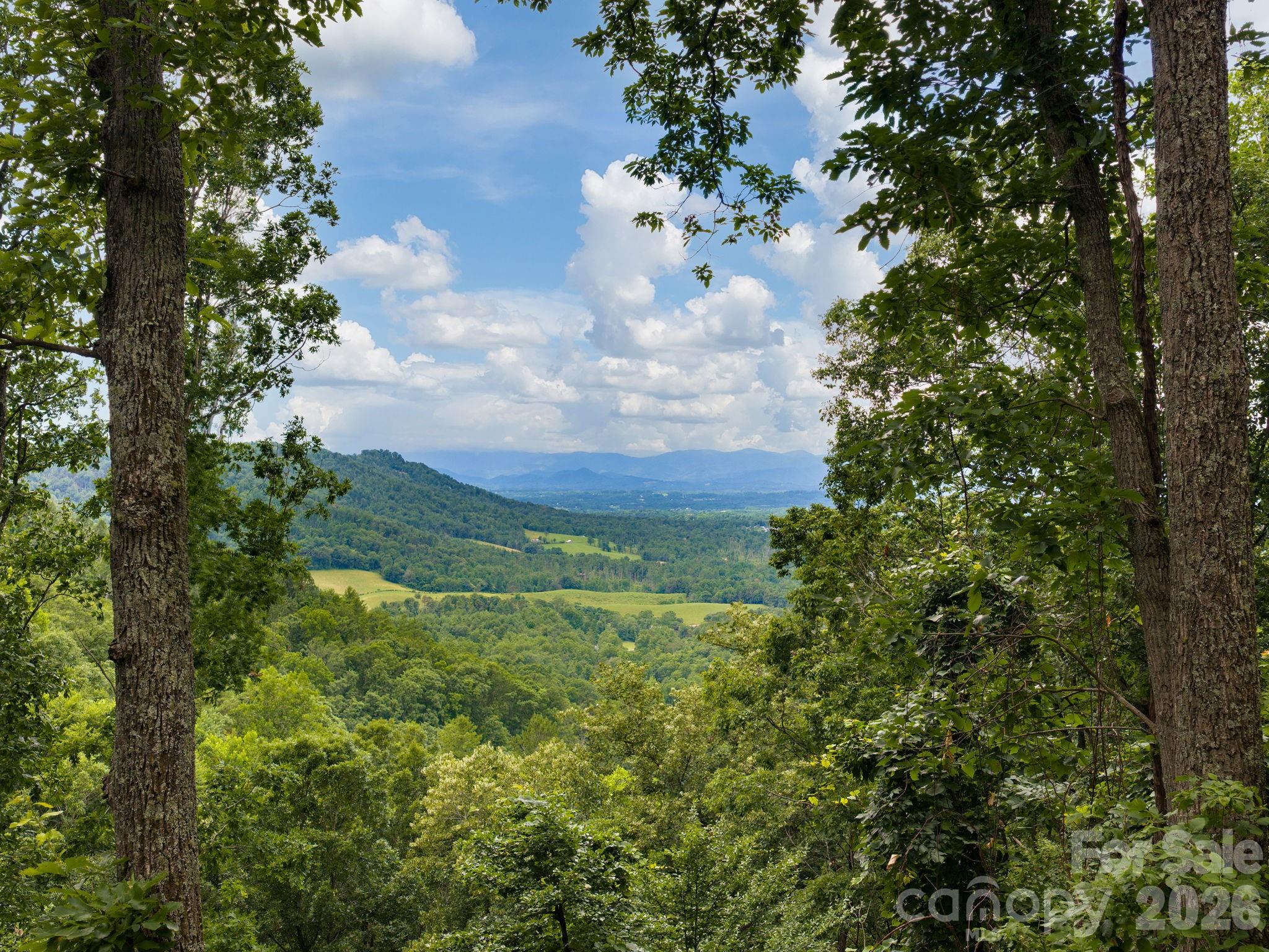 46 Perennial Ridge — Weaverville