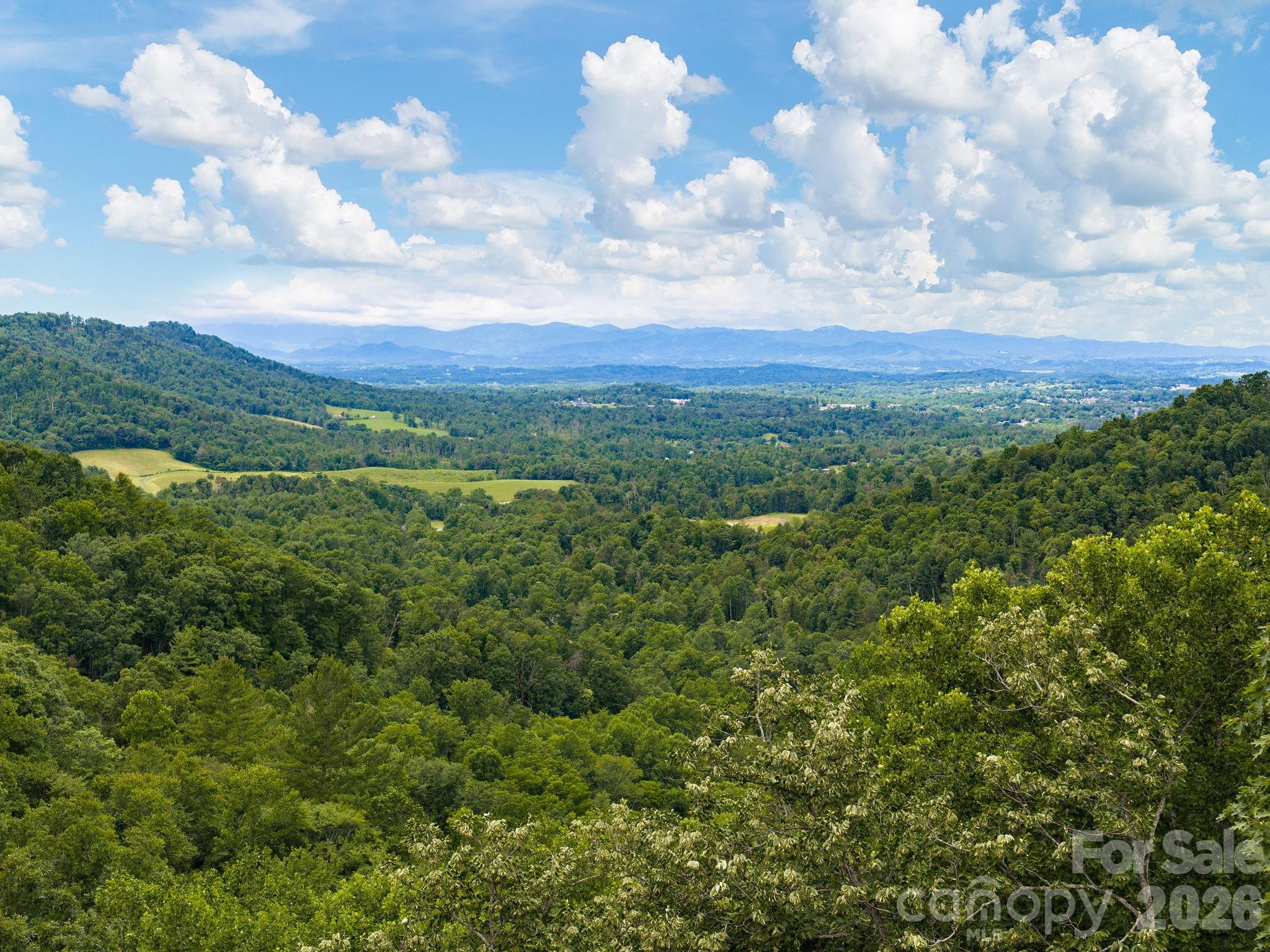 46 Perennial Ridge — Weaverville