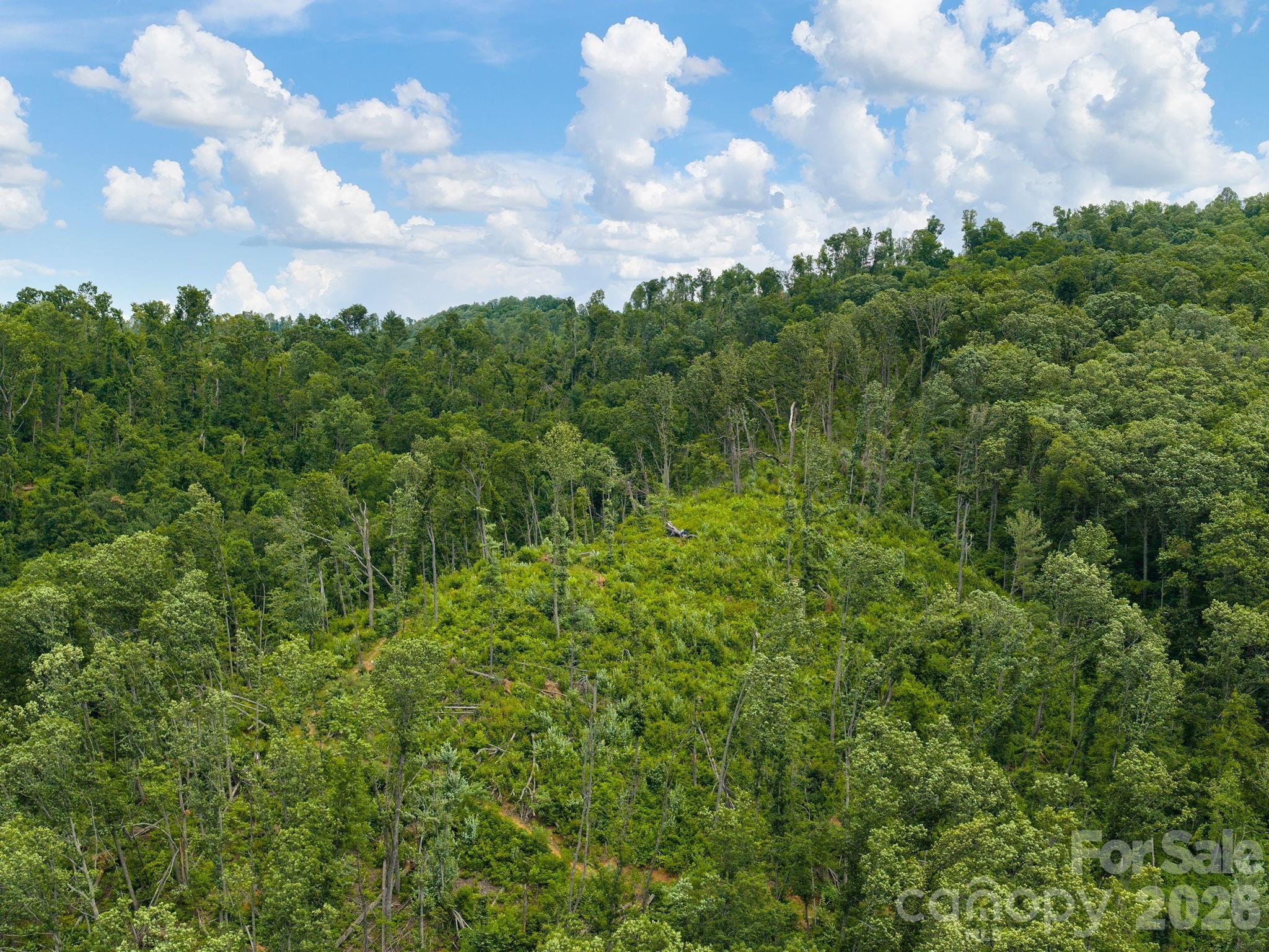 46 Perennial Ridge — Weaverville