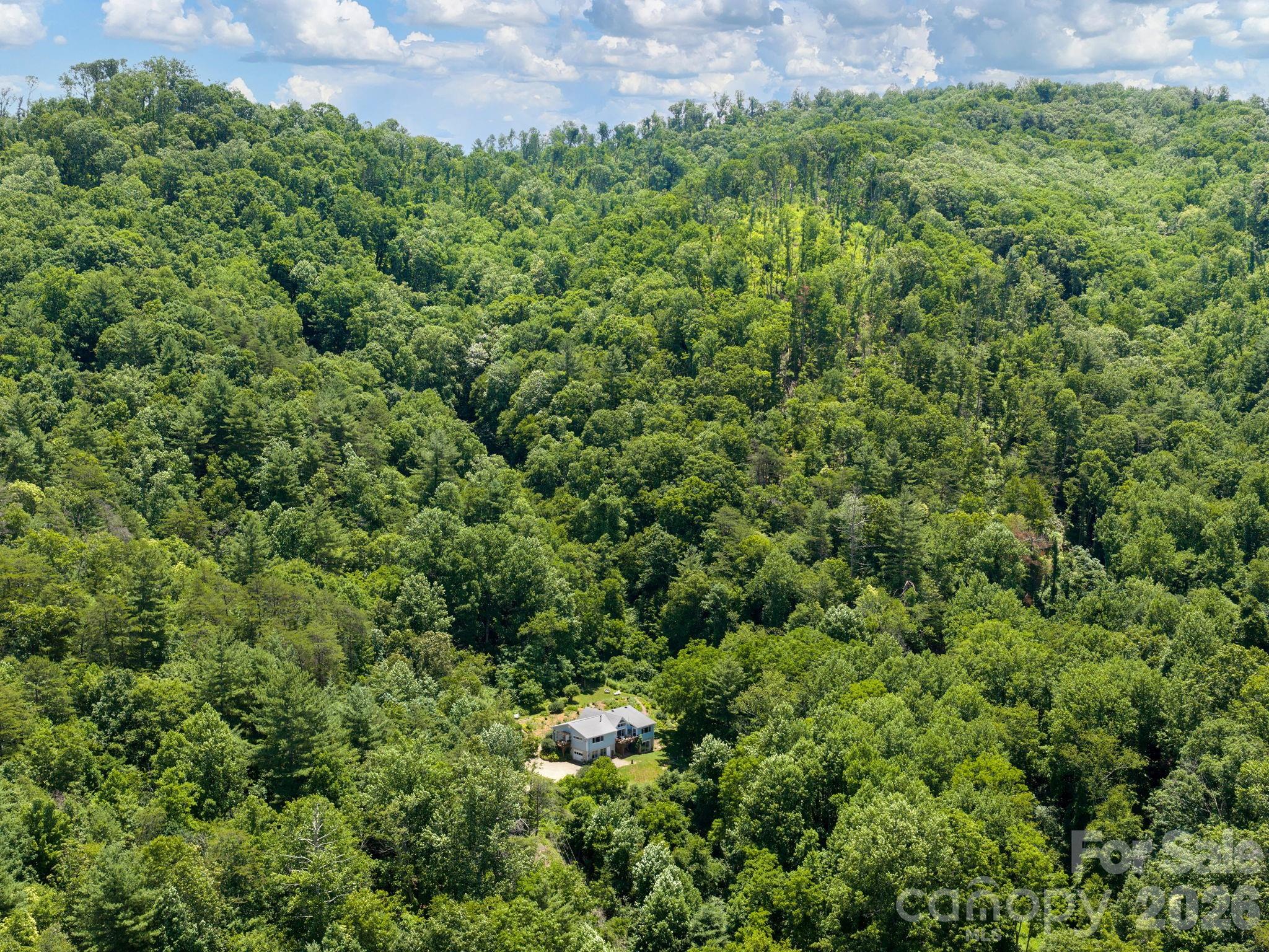 46 Perennial Ridge — Weaverville