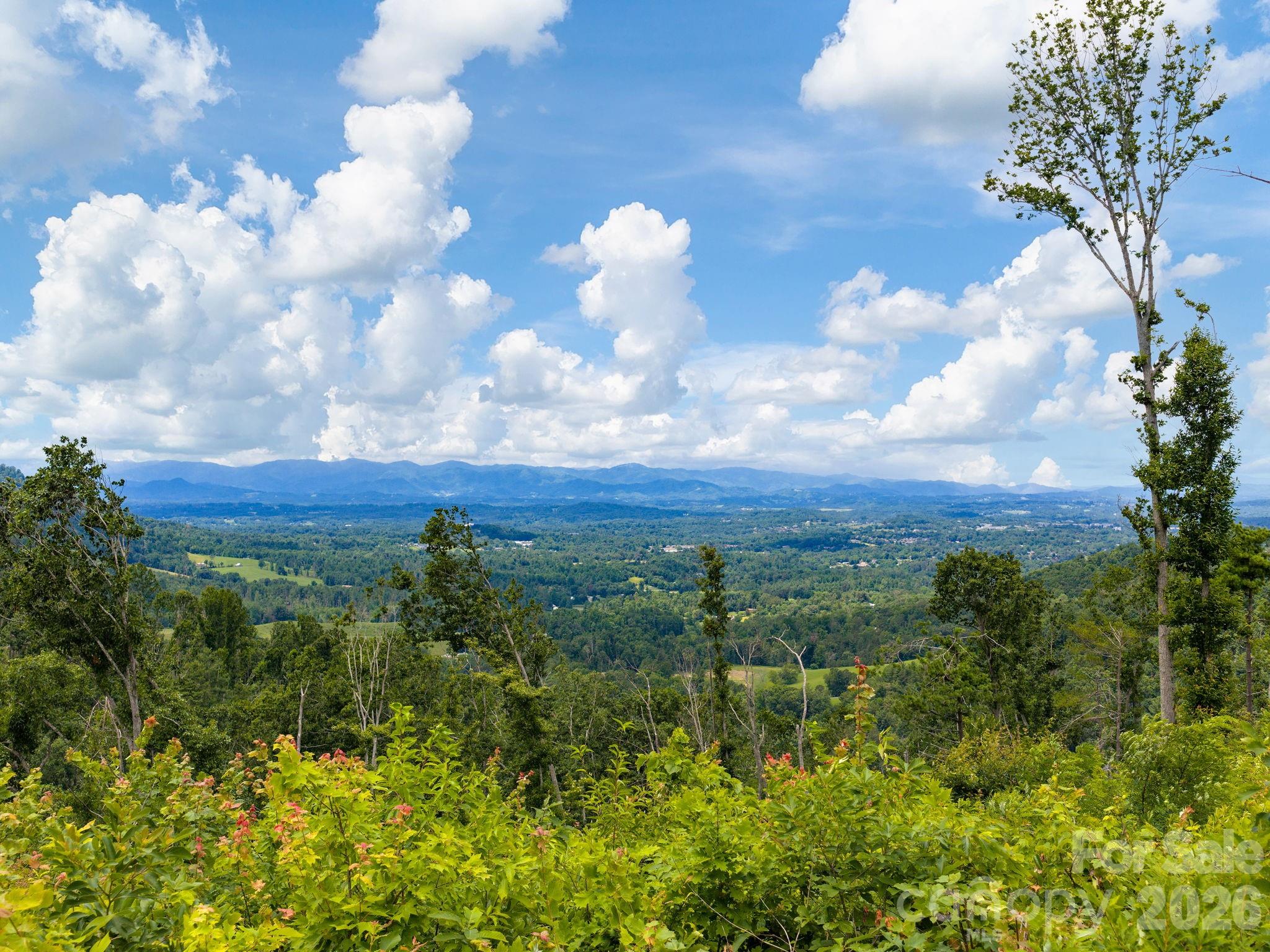 46 Perennial Ridge — Weaverville
