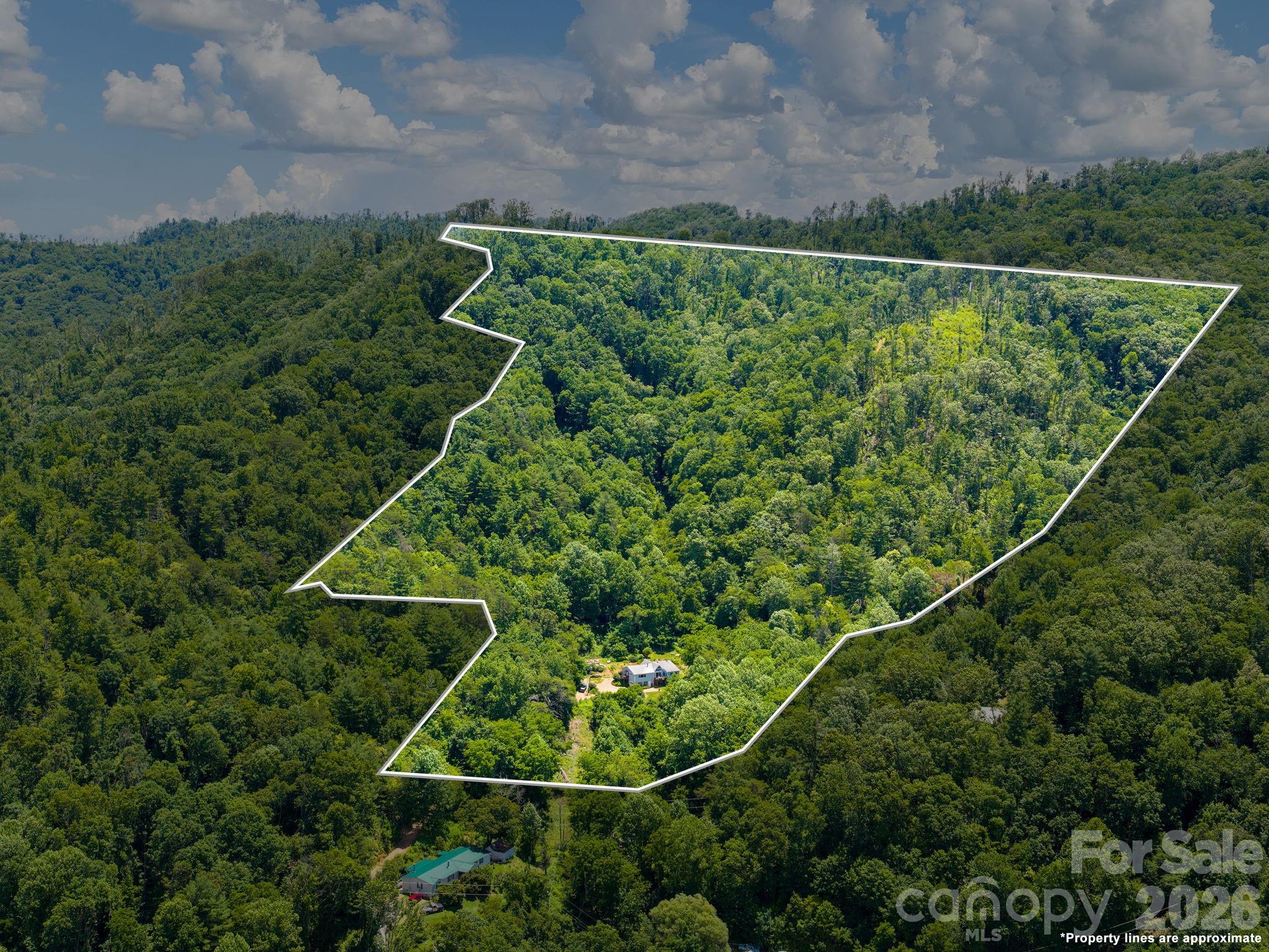 46 Perennial Ridge — Weaverville