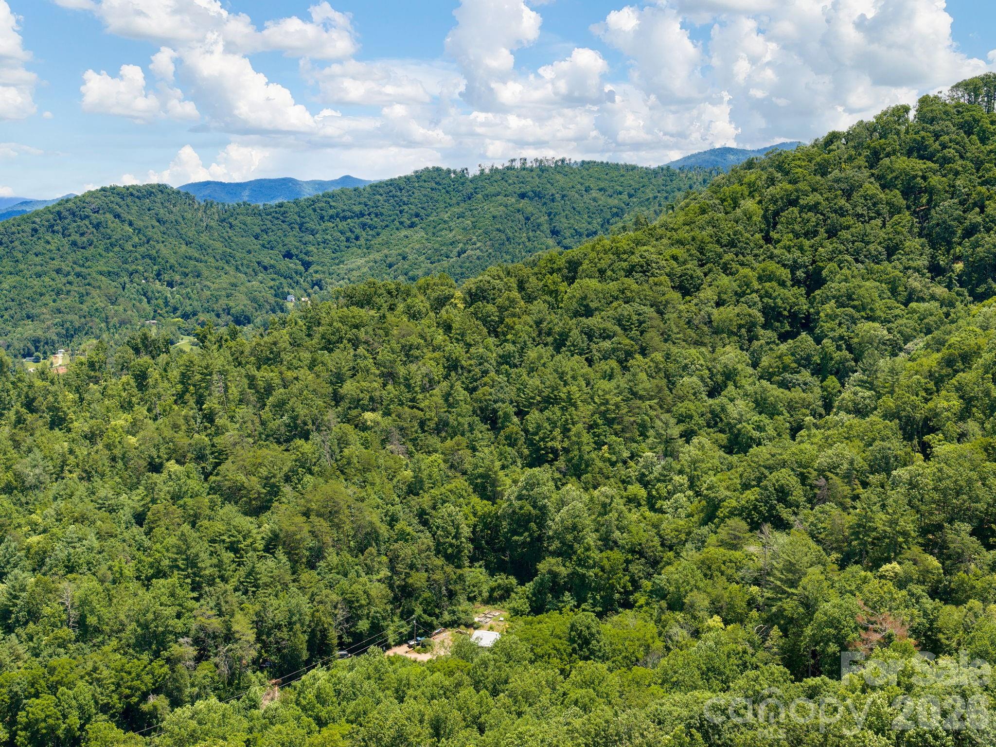 46 Perennial Ridge — Weaverville