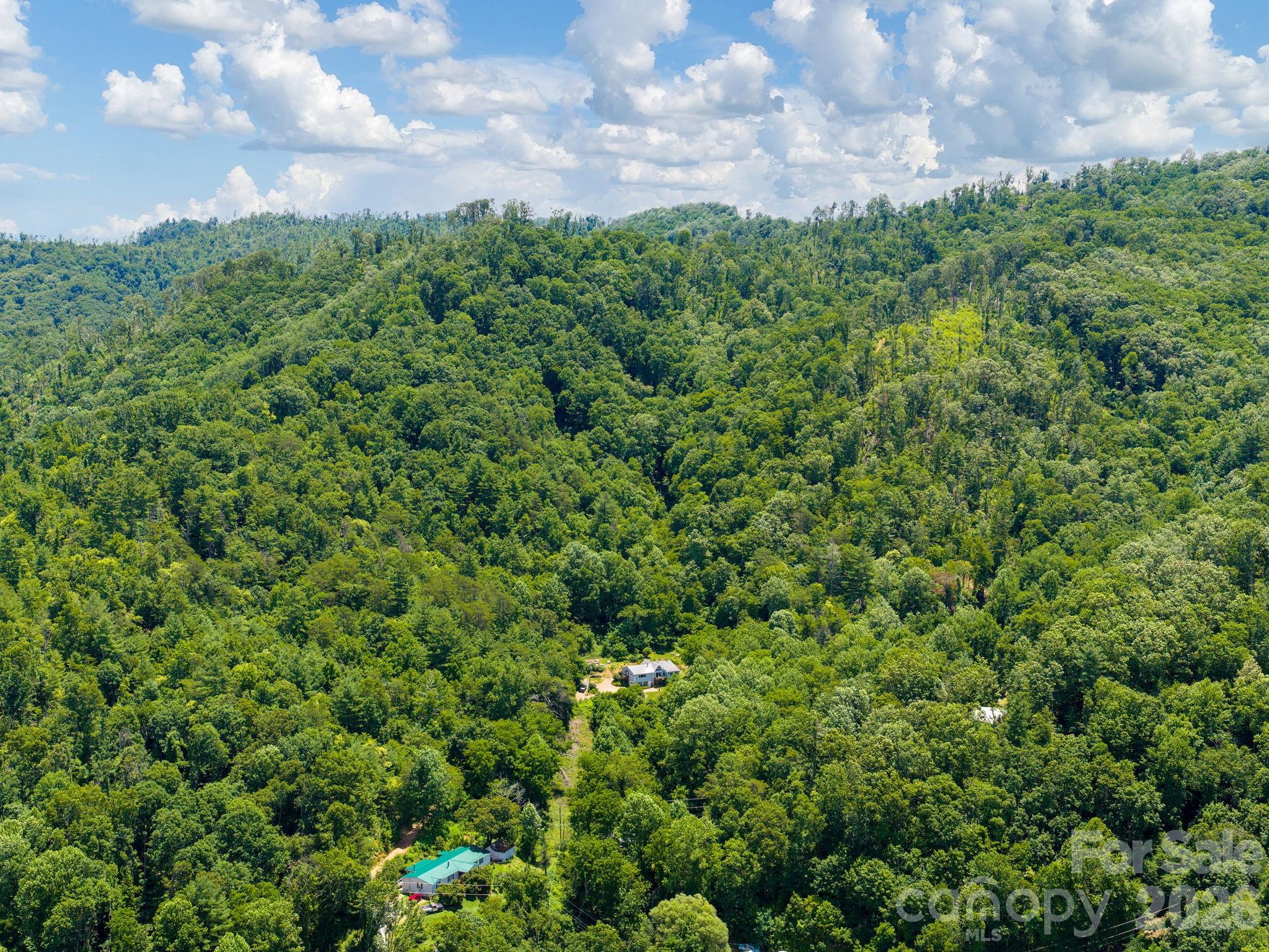 46 Perennial Ridge — Weaverville