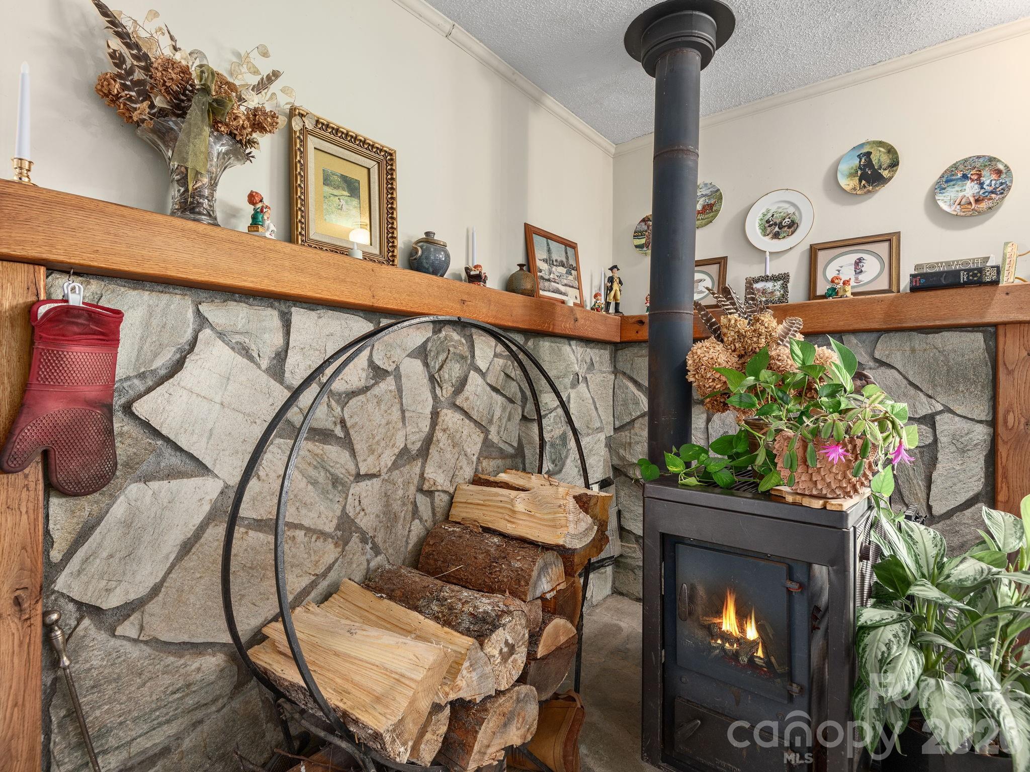 46 Perennial Ridge — Weaverville