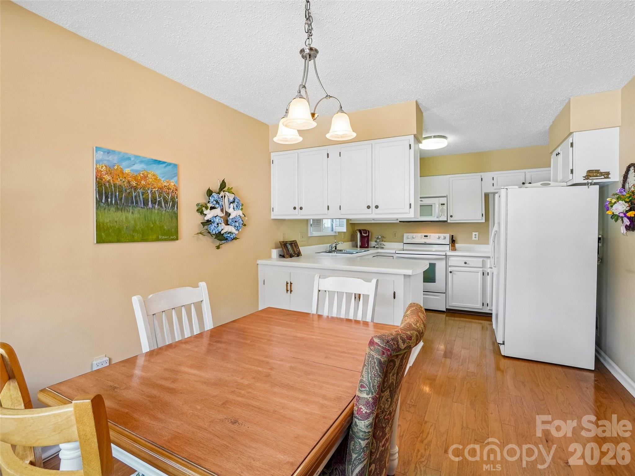 313 Somerton Court — Hendersonville