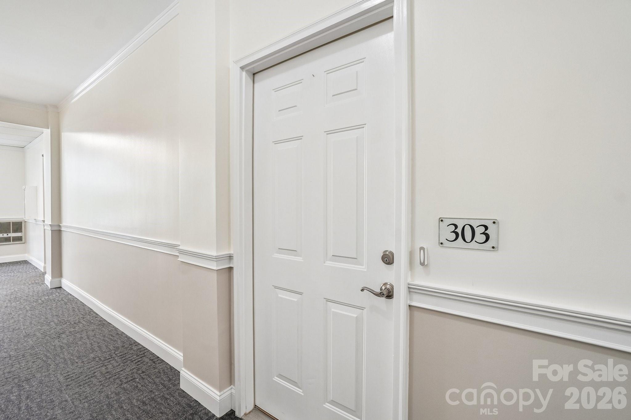 175 S Lexington Avenue #303 — Asheville