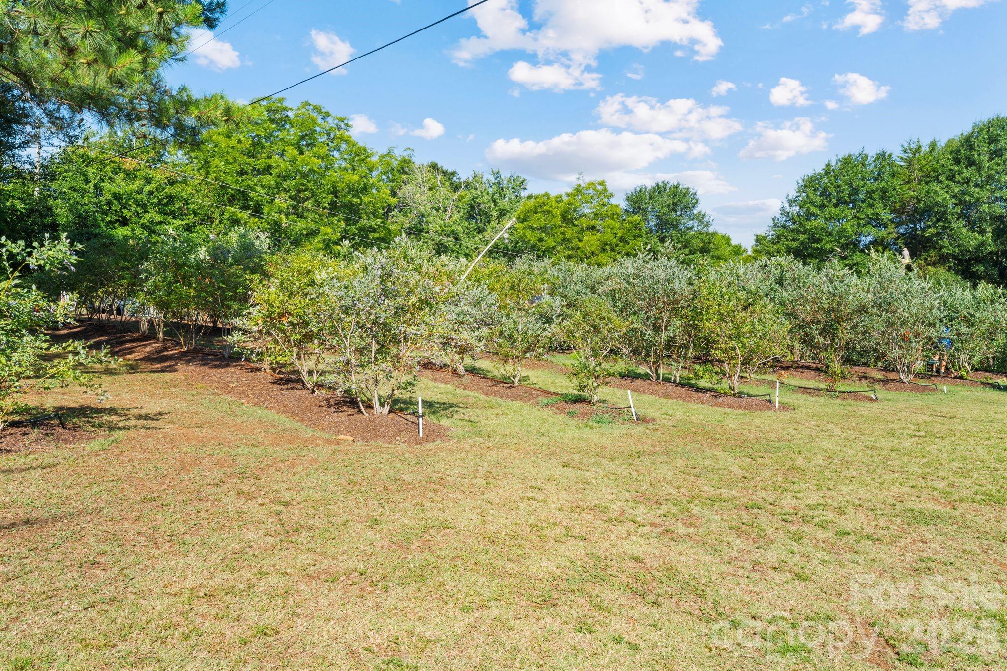 1483 Hopewell Church Road — Catawba